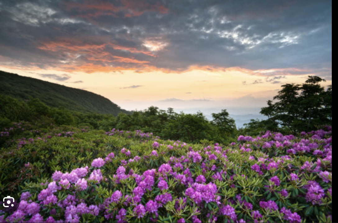 Screenshot 2026-04-18 at 7.25.18 AM.png