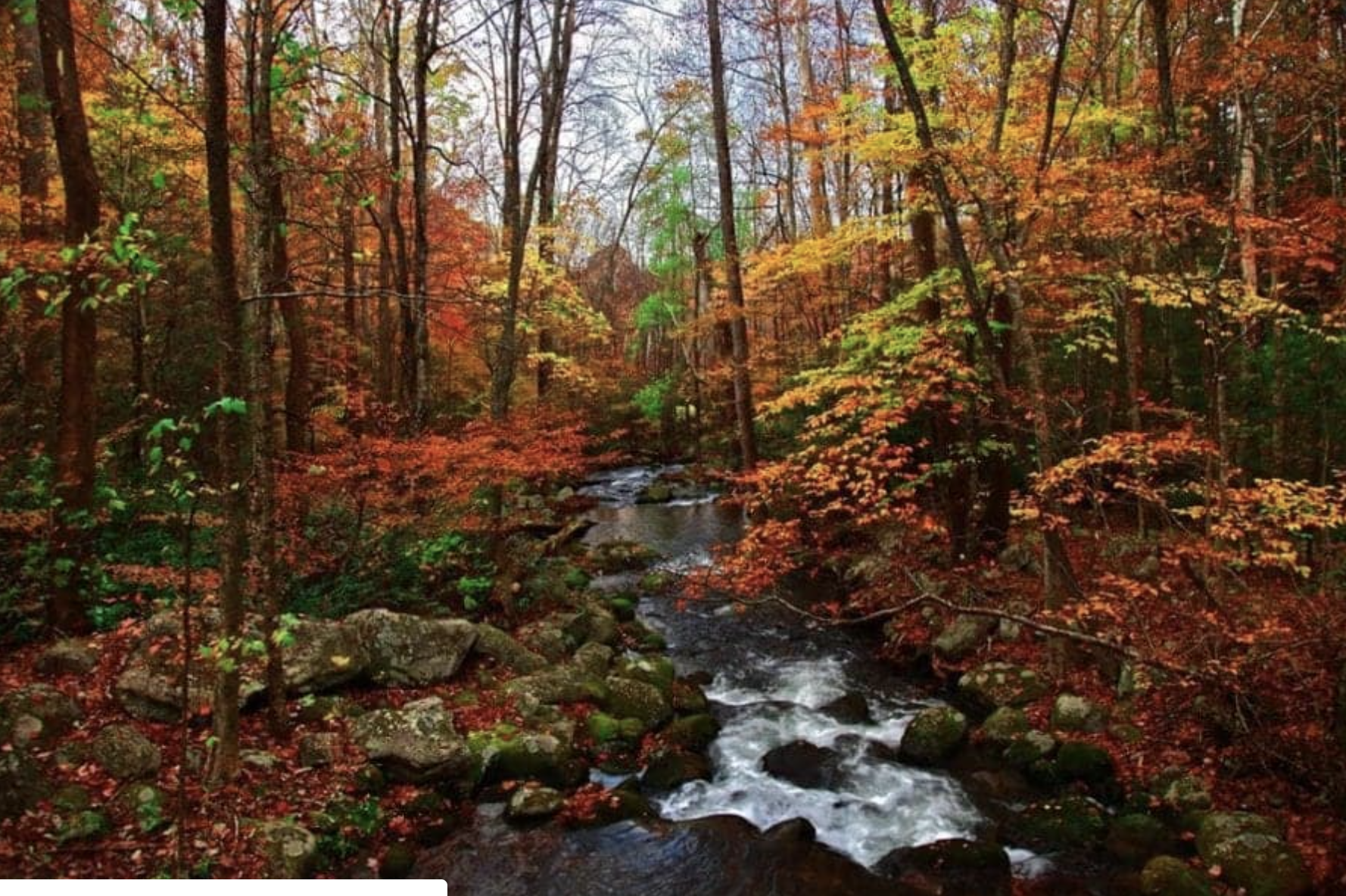 Screenshot 2026-04-18 at 7.26.29 AM.png