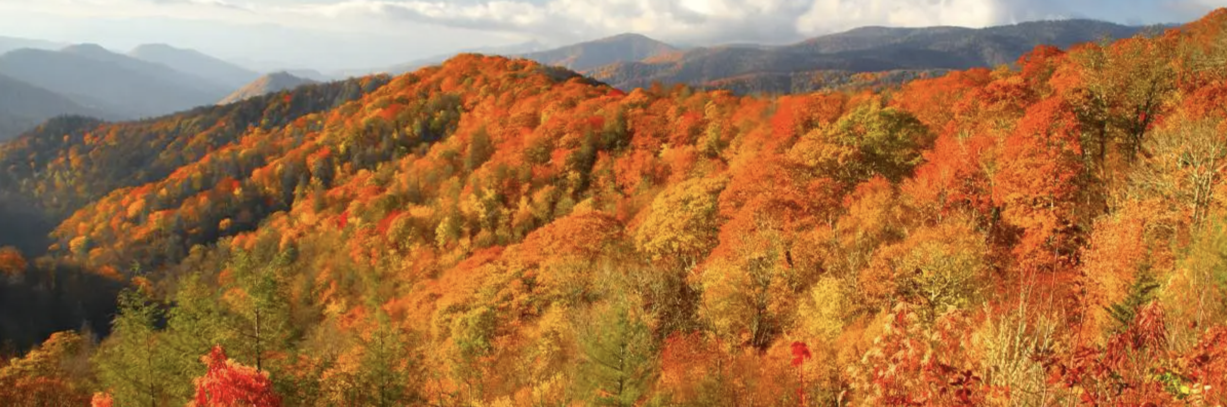 Screenshot 2026-04-18 at 7.26.48 AM.png