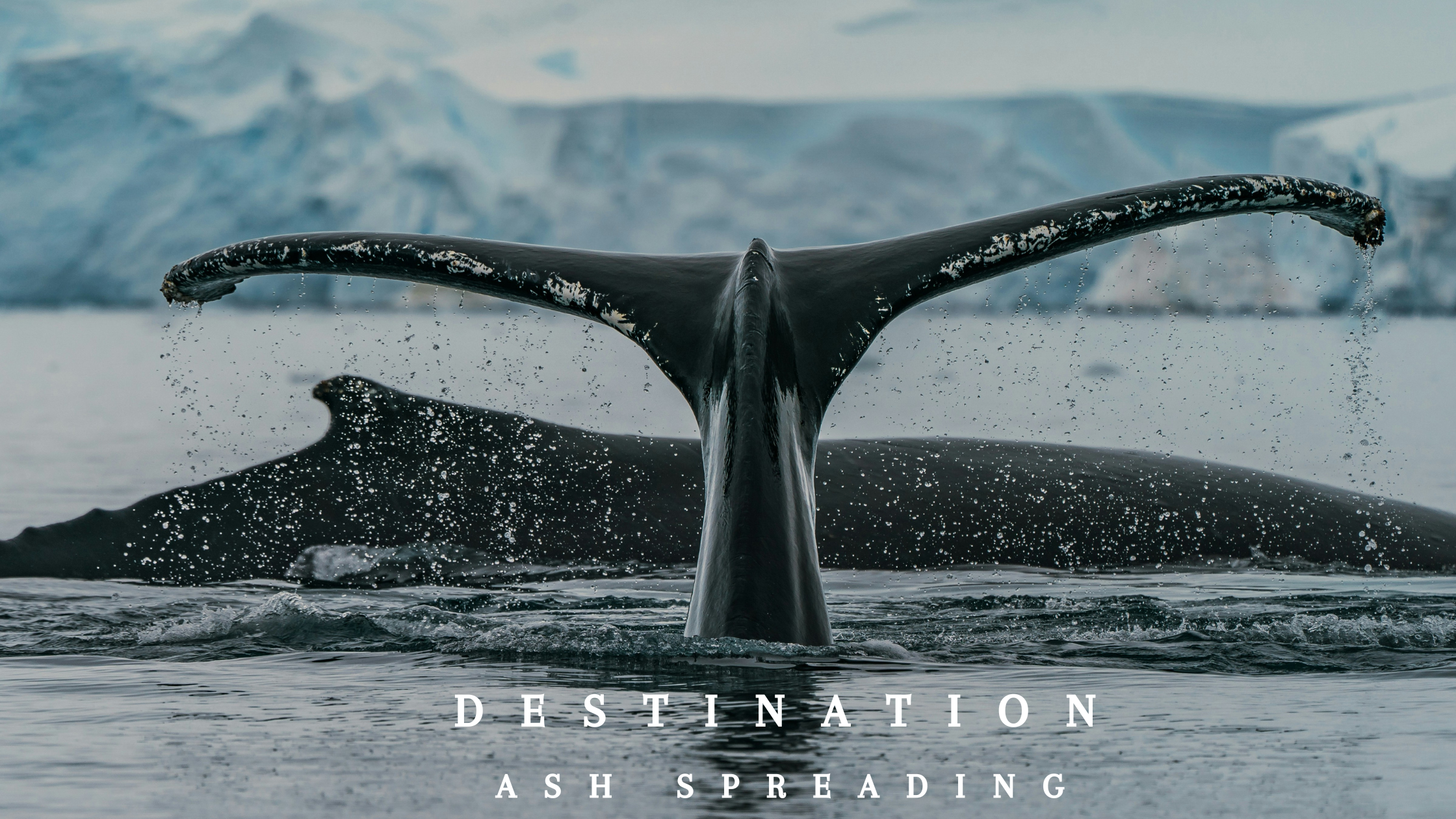 Scattering Ashes by Shared Passion 