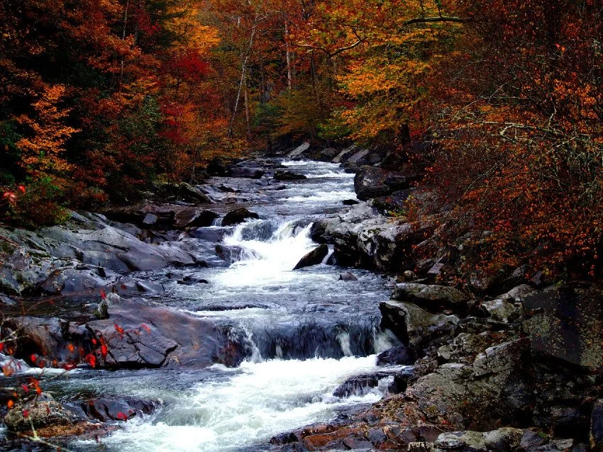 Smoky_Mountains_Fall_850.jpg