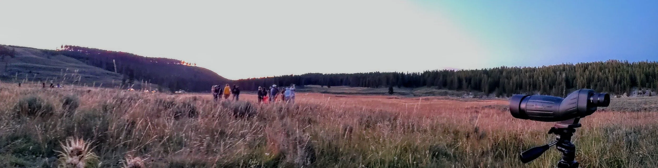 Geyser basin panorama