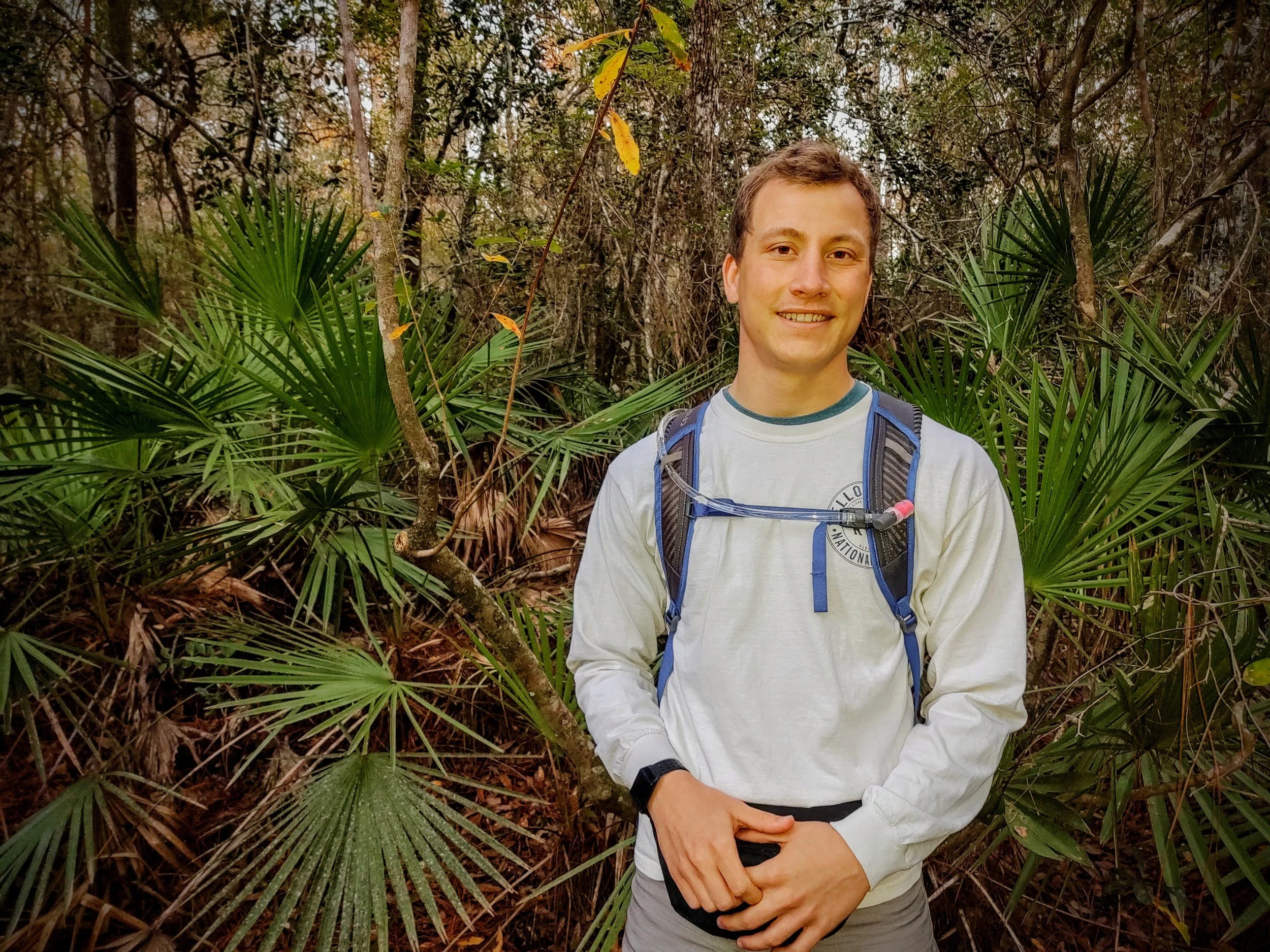 Black Hills needle spires