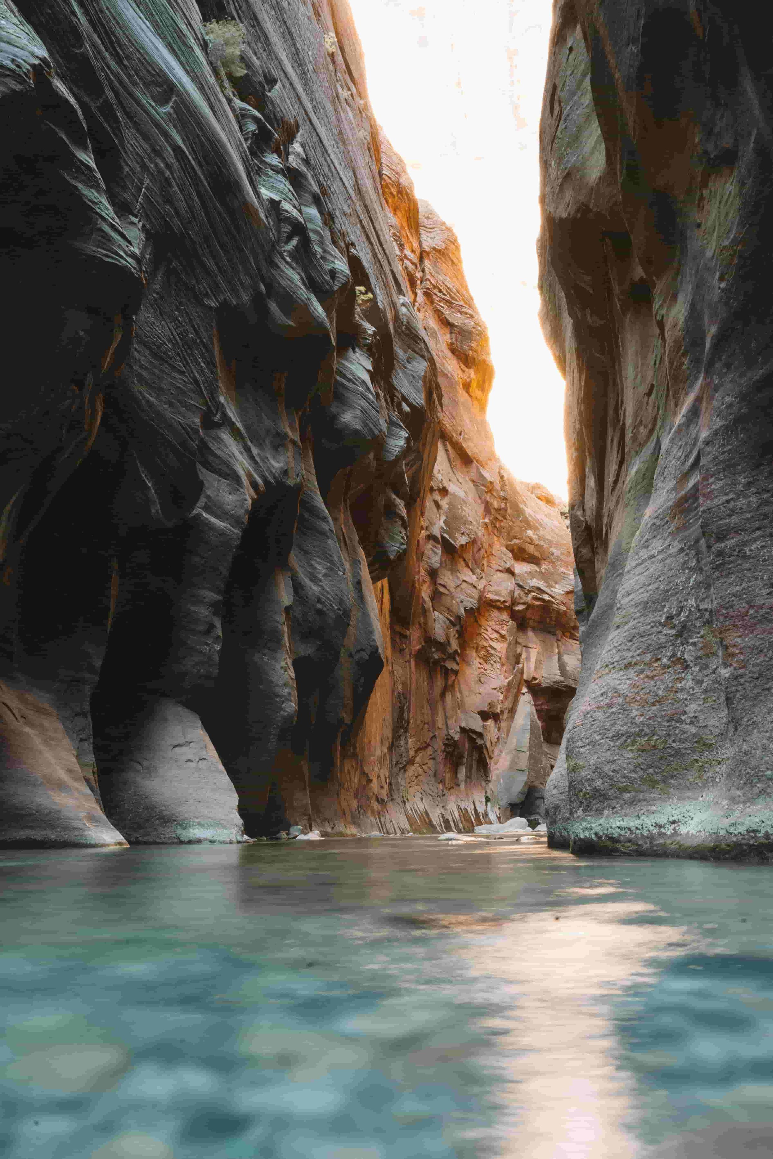 Zion National Park - Bonaventure