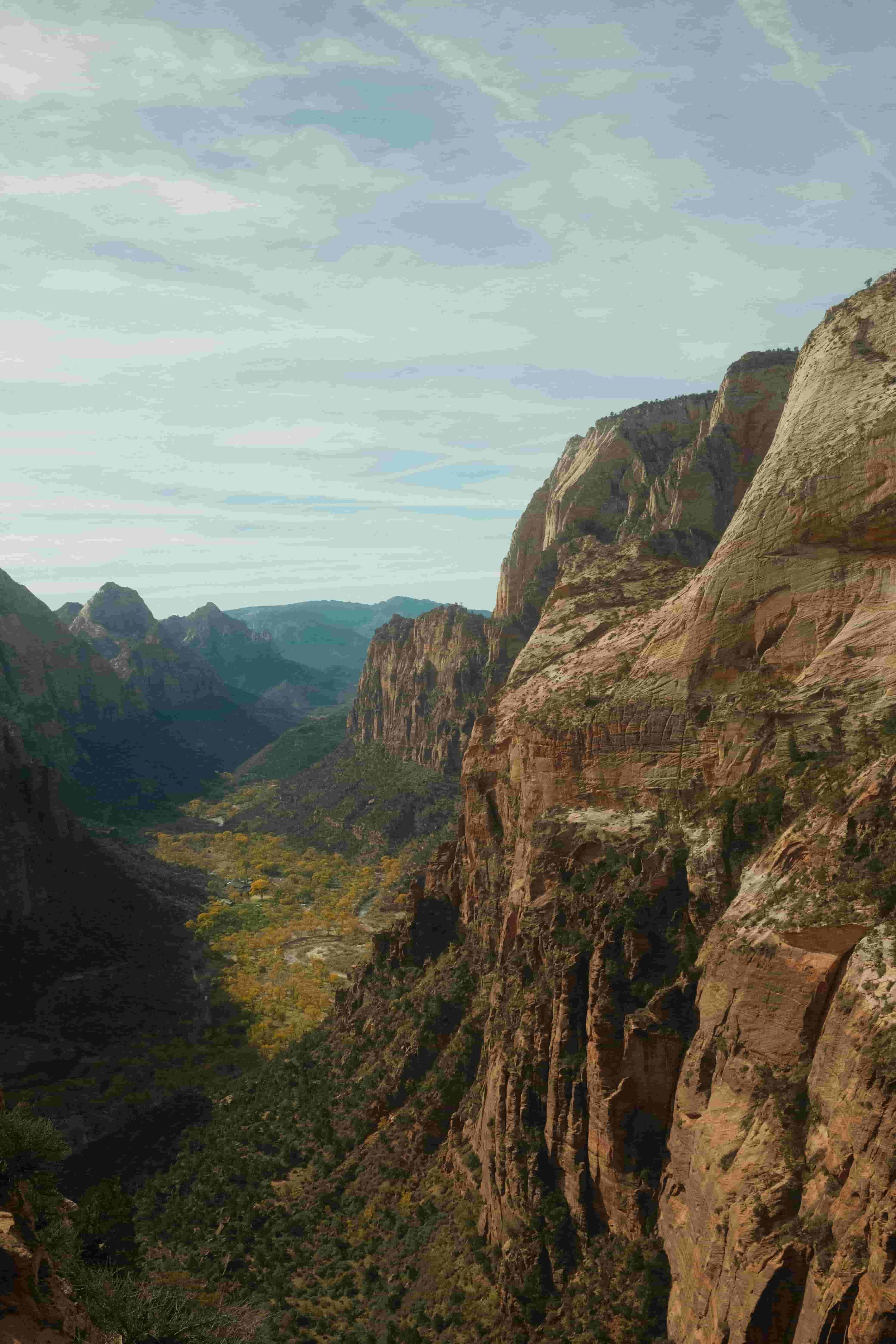 Zion National Park - Bonaventure