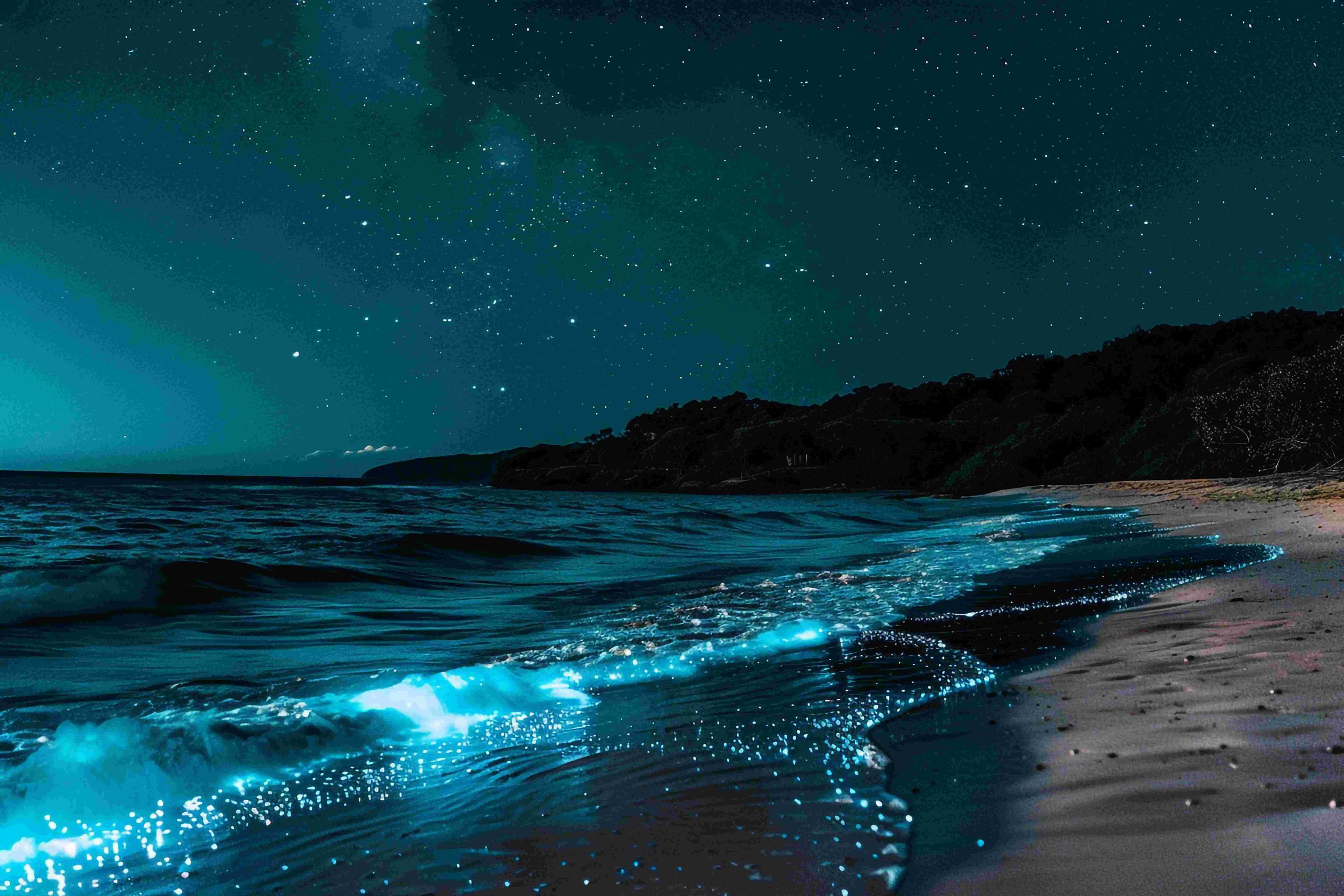 Bioluminescence - Puget Sound