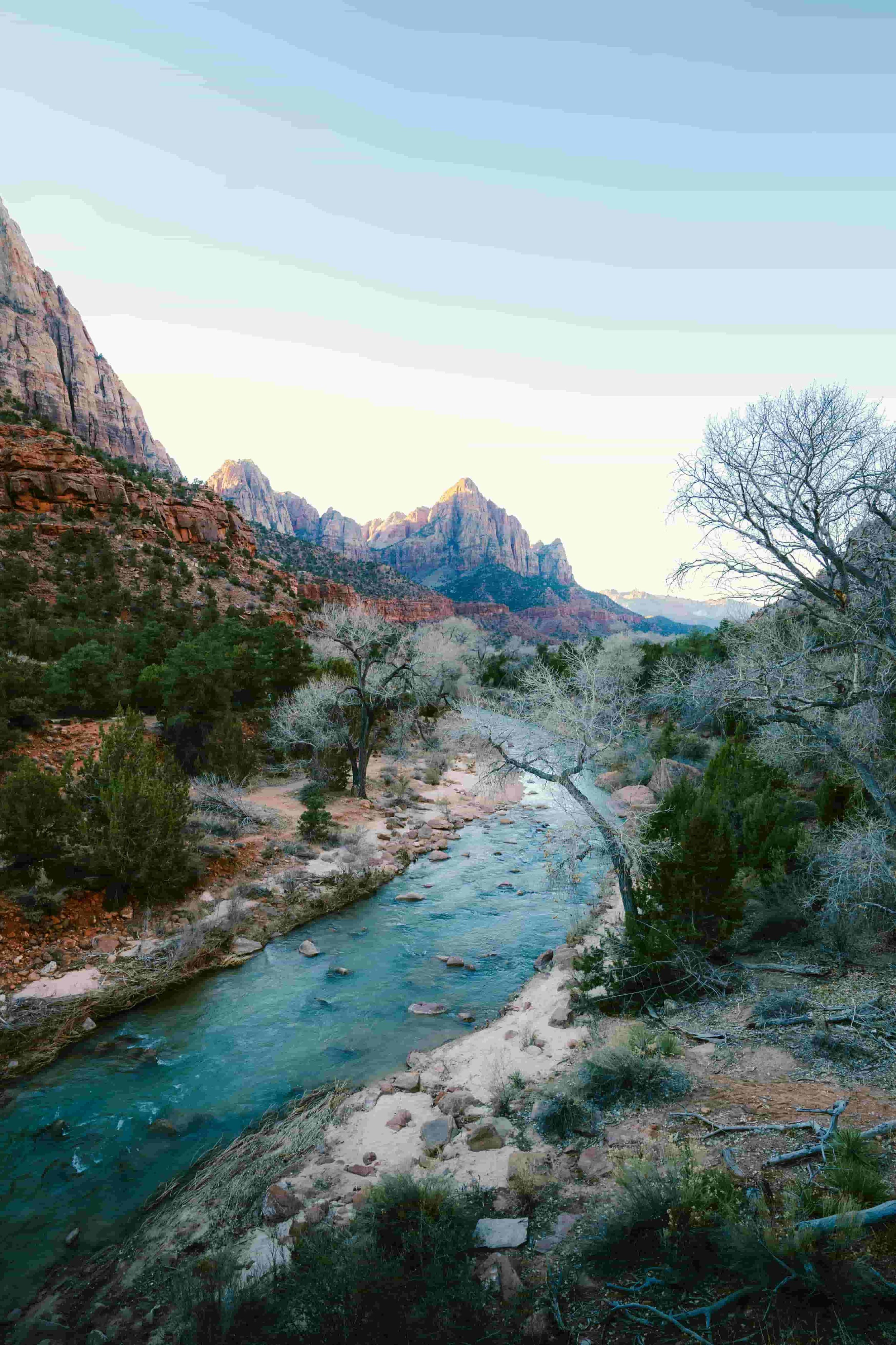Zion National Park - Bonaventure