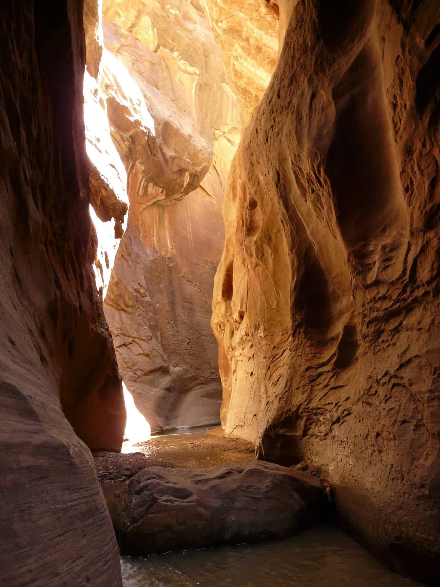 Zion National Park - Bonaventure