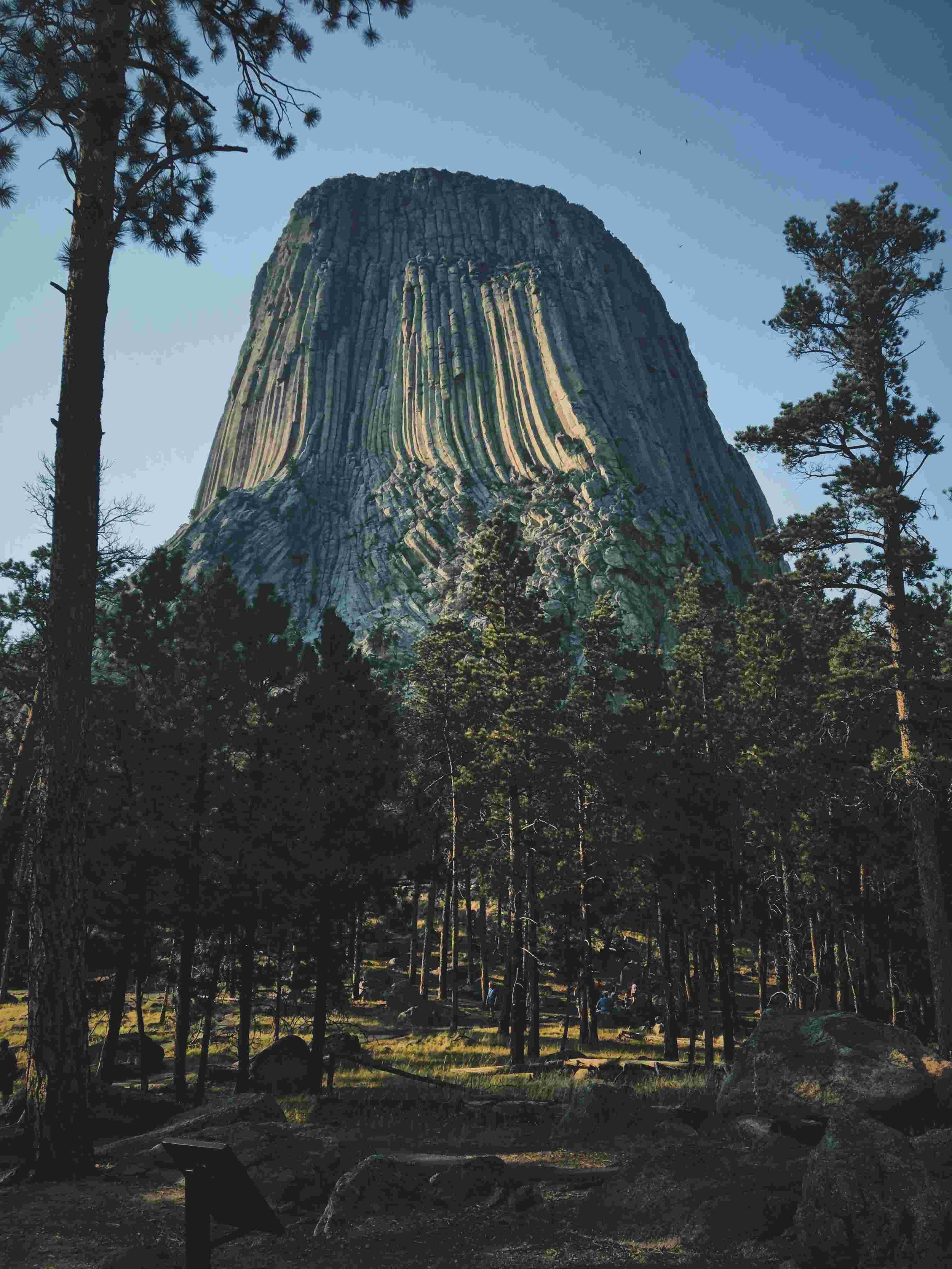 Devil's Tower National Park - Bonaventure