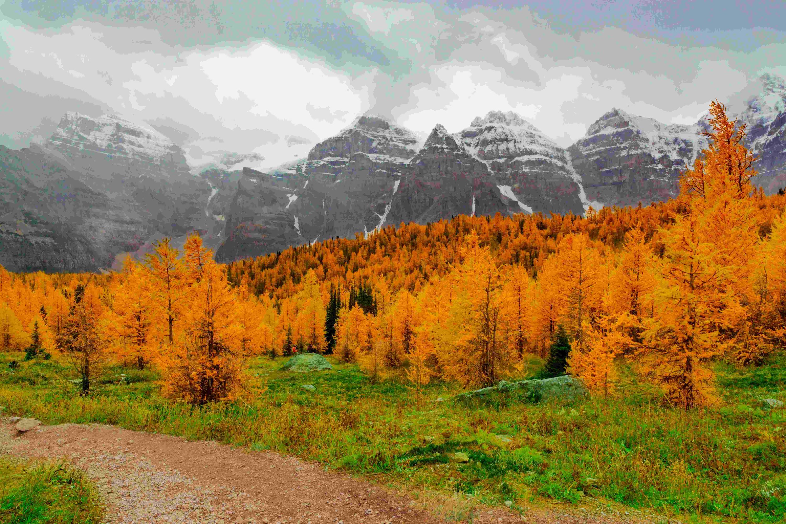 Rocky Mountain National Park - Bonaventure