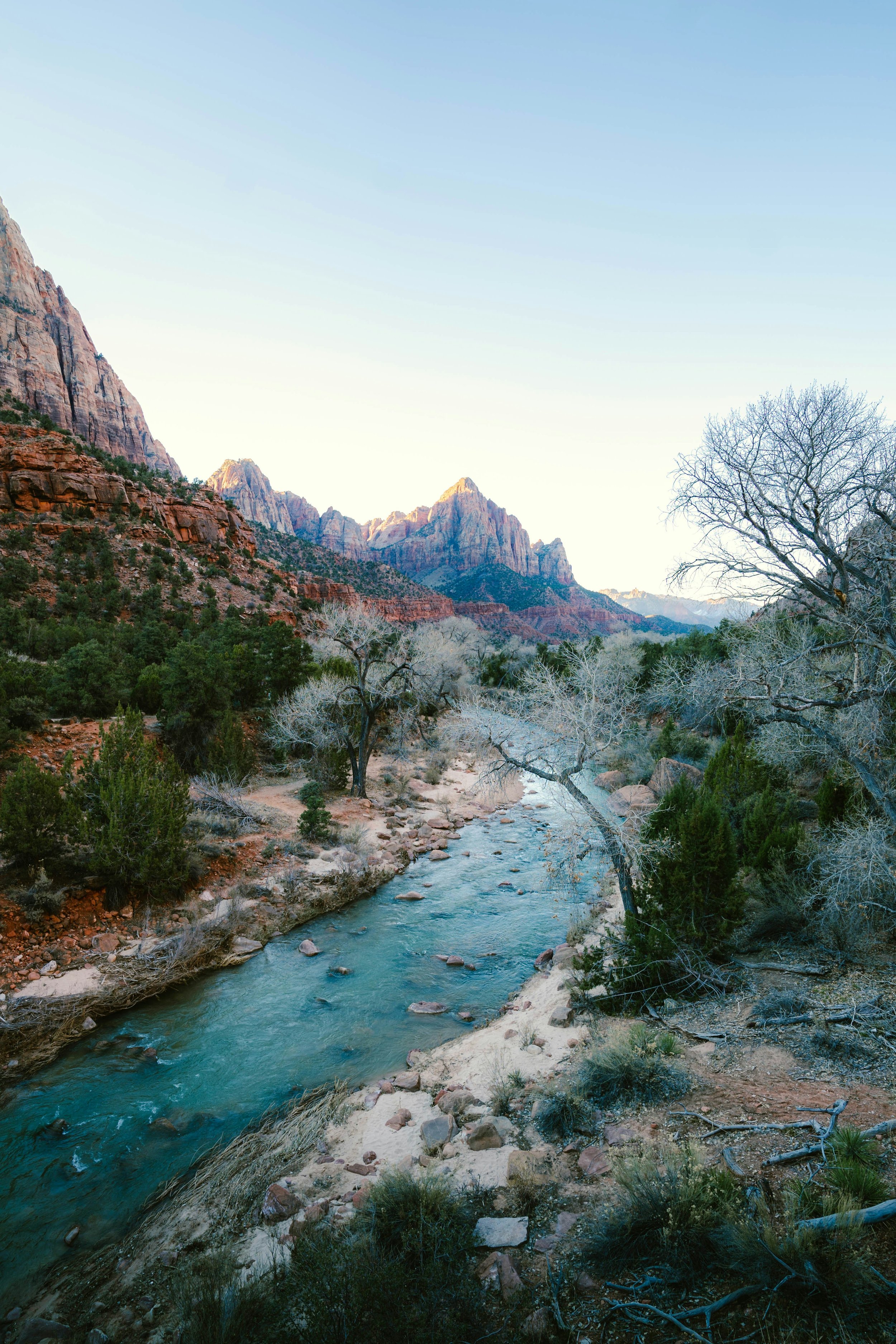 Zion National Park - Bonaventure