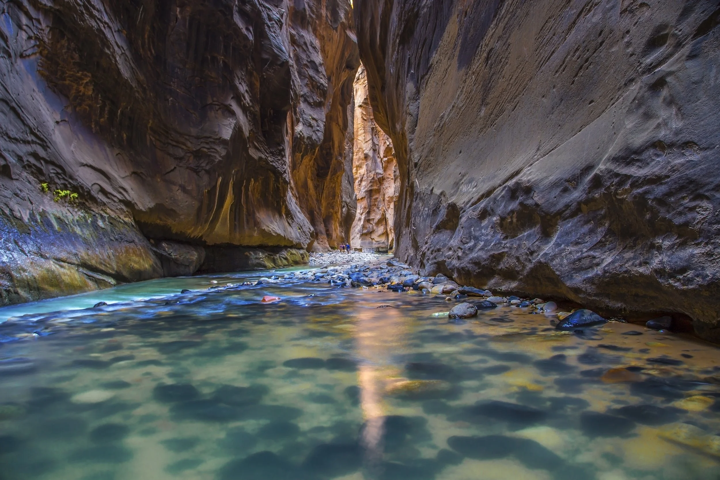 vecteezy_zion-national-park-narrows_43301093.jpg