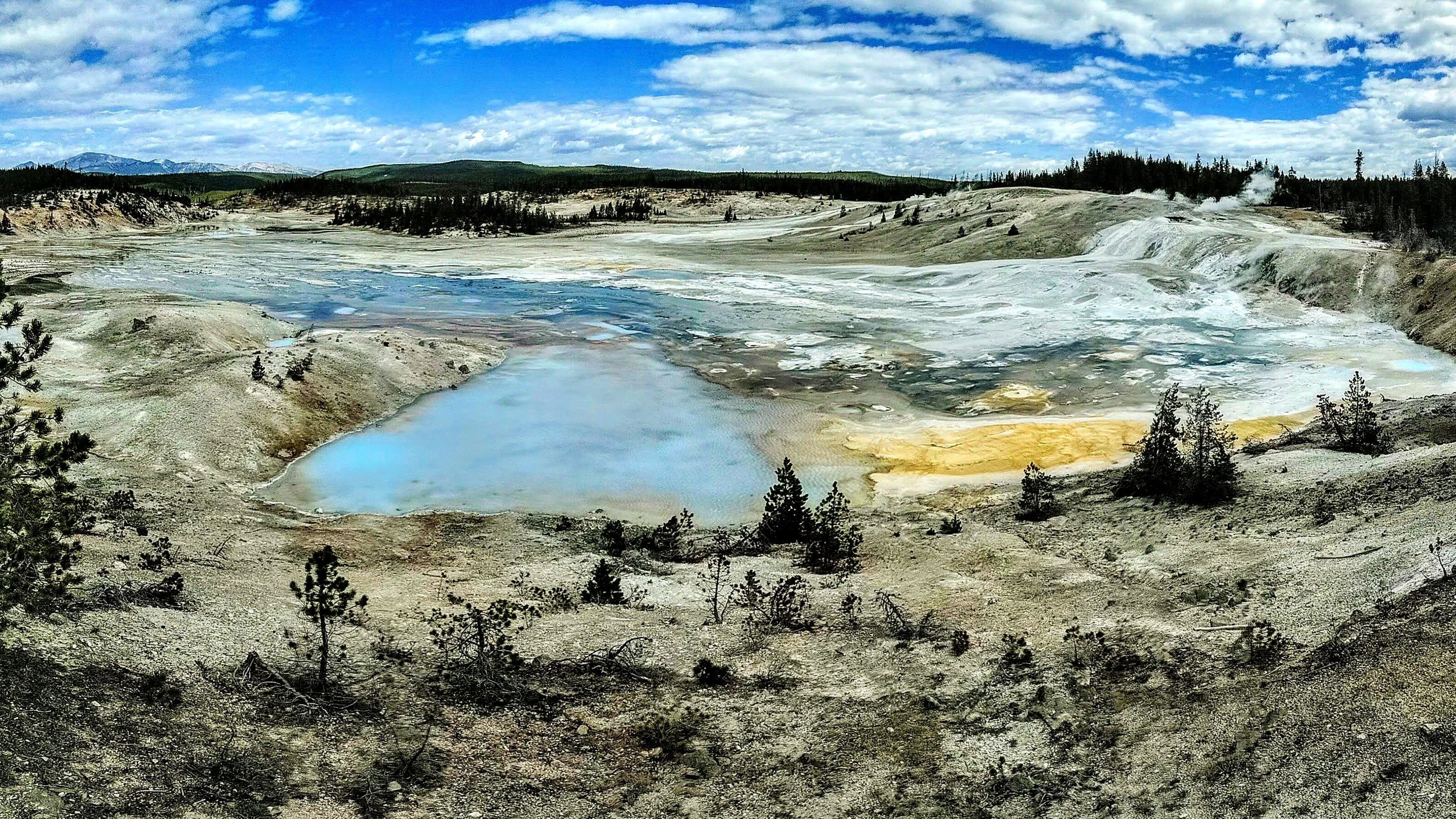 Wildlife watching in the National Parks