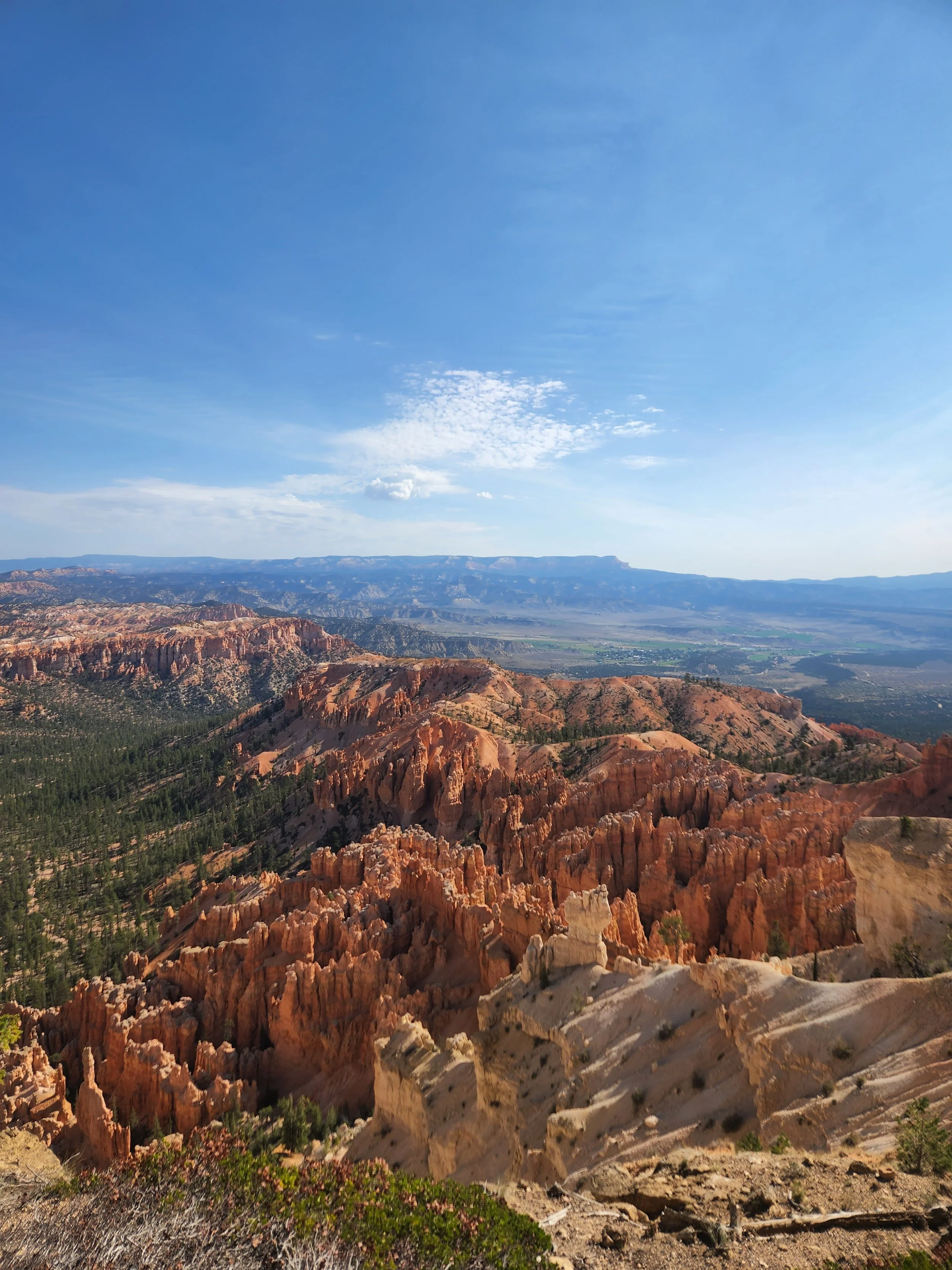 Puget Sound ferry deck