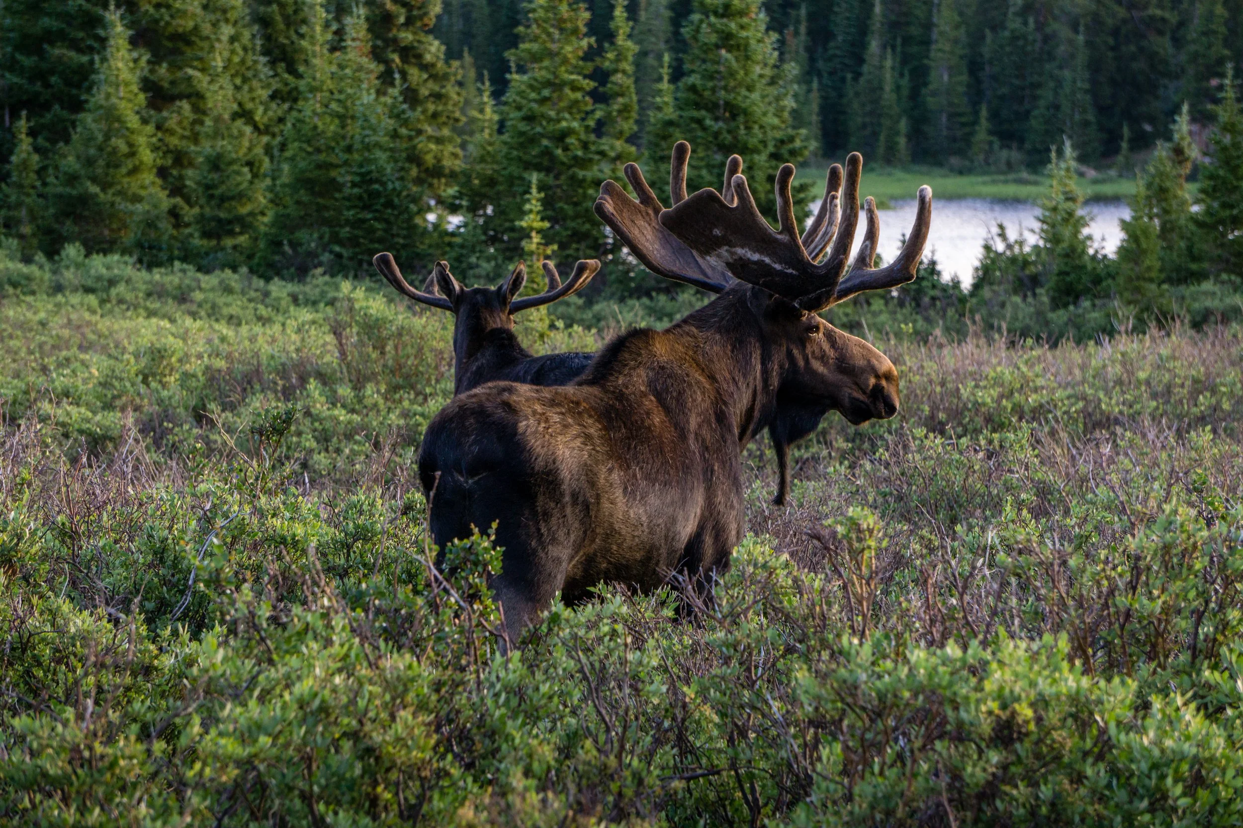The Best Secret Places to Scatter Ashes in National Parks (and Beyond)