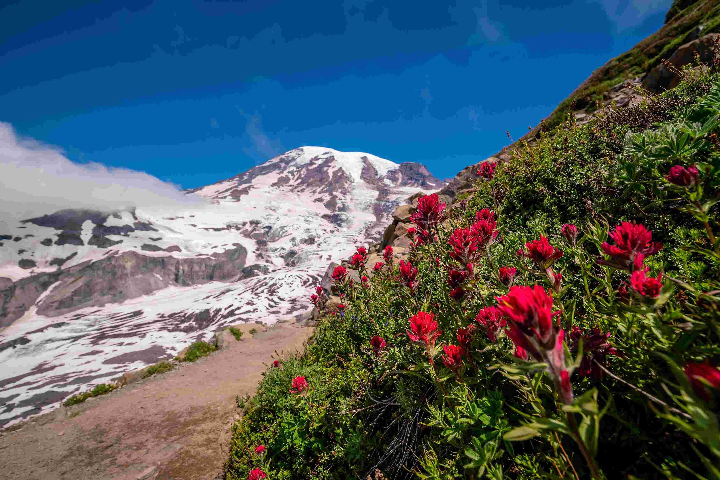 Mount Rainier National Park