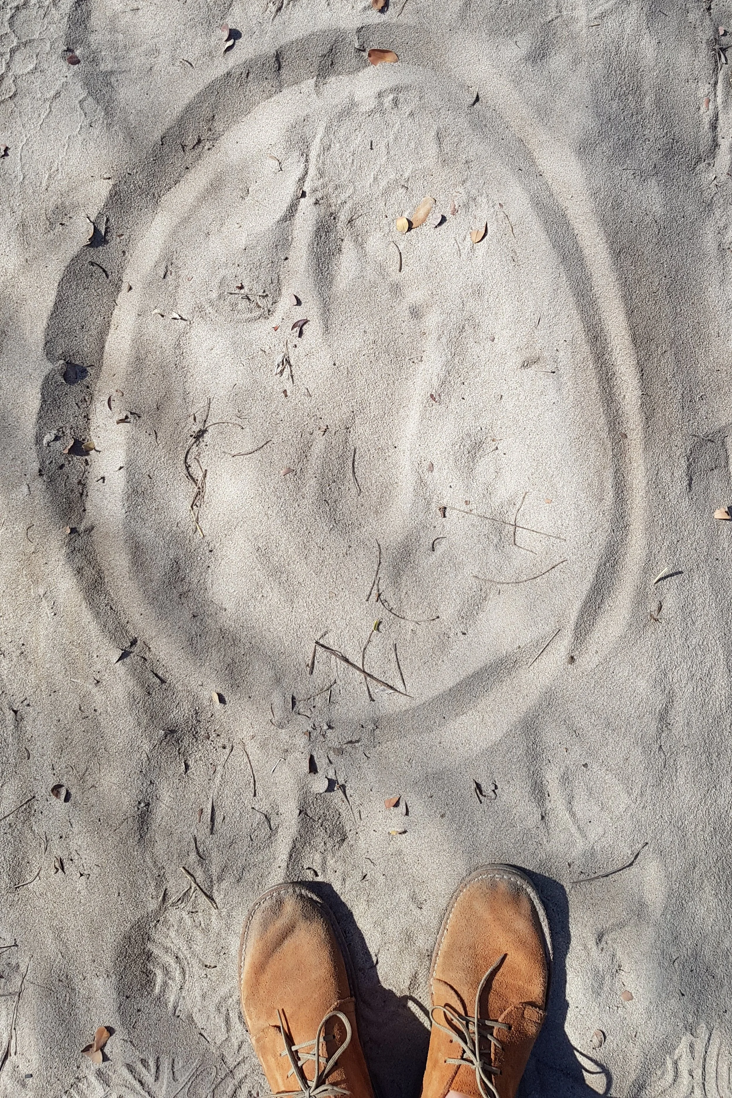 Tracking and finding barefoot tracks