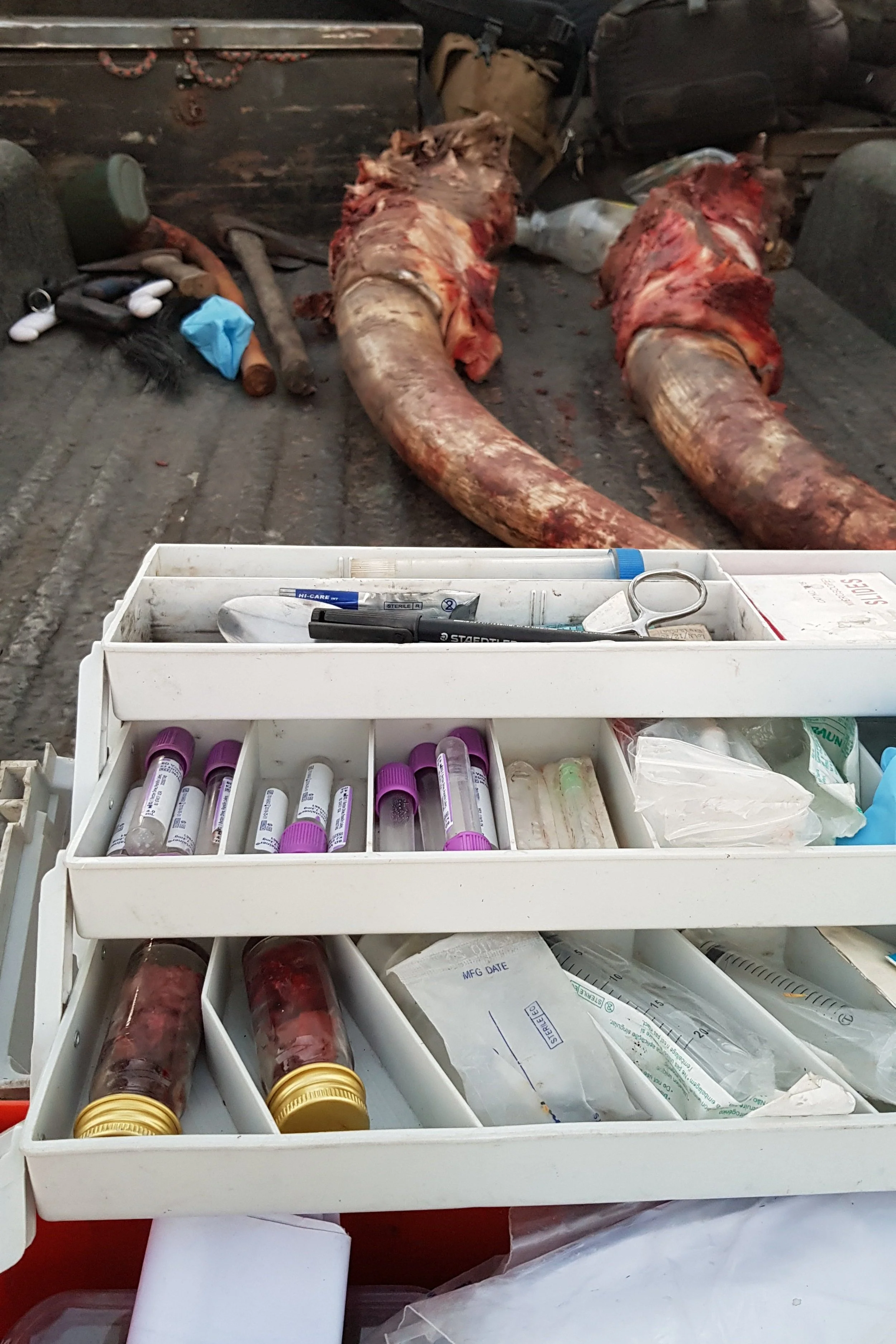 Collected ivory and the lab test kit.