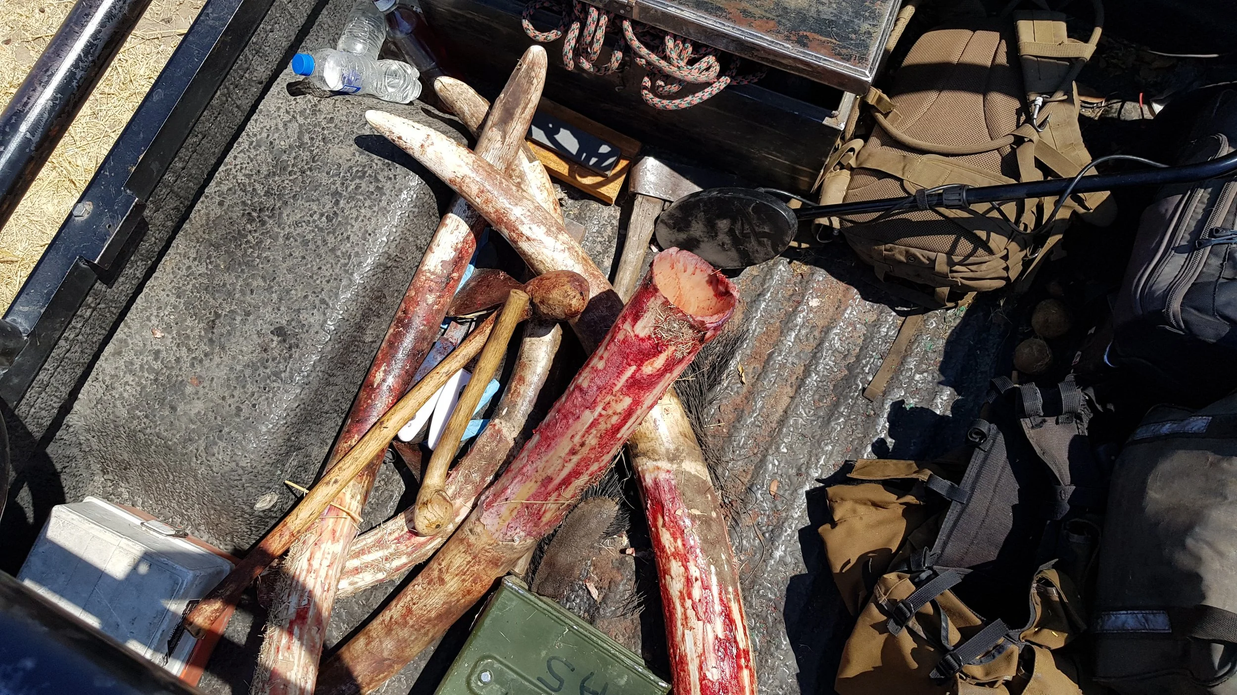 Removed ivory piled into truck with the rest of the APU kit