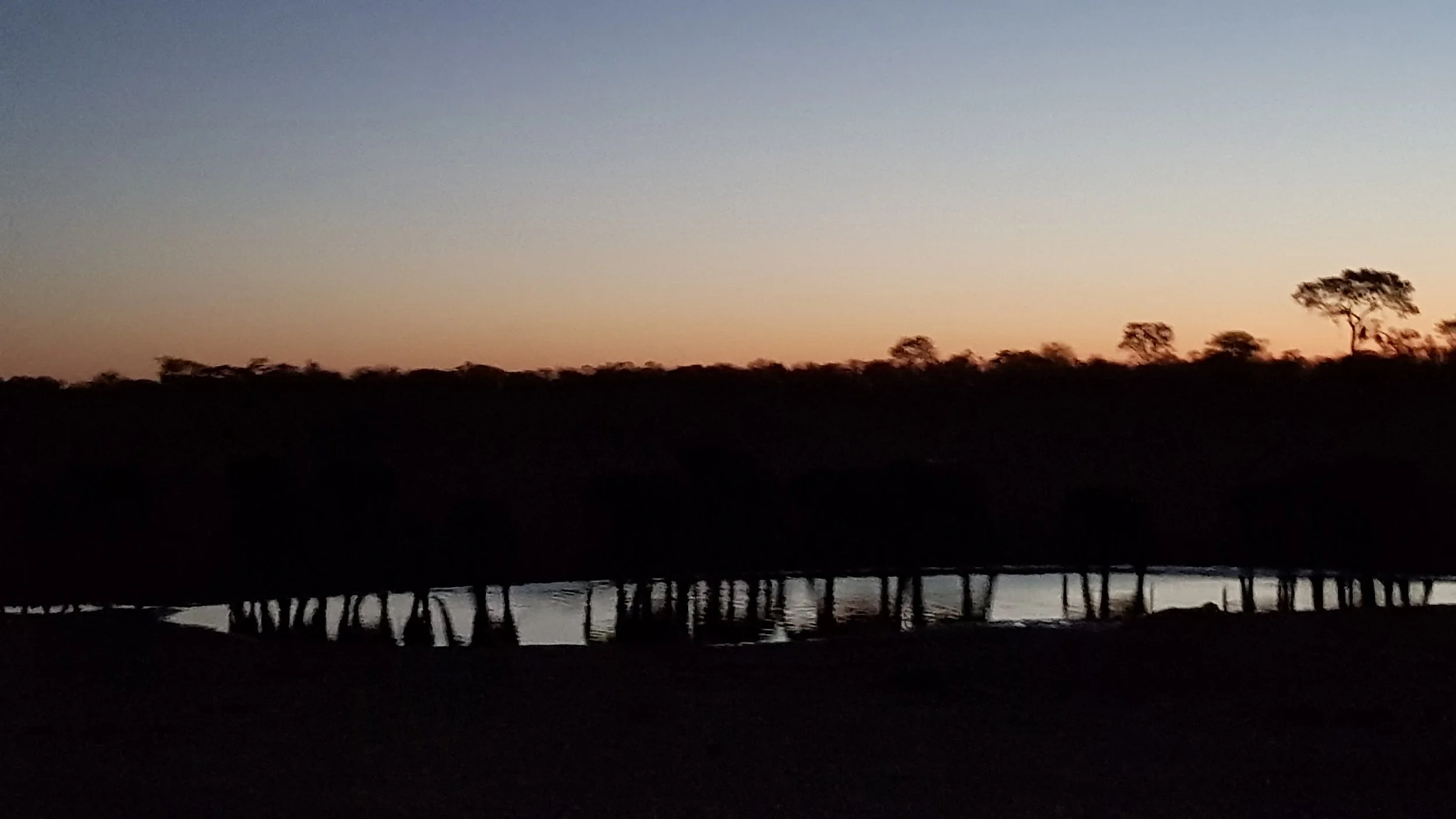 the ghostly site of elephants reflected in the water at dusk