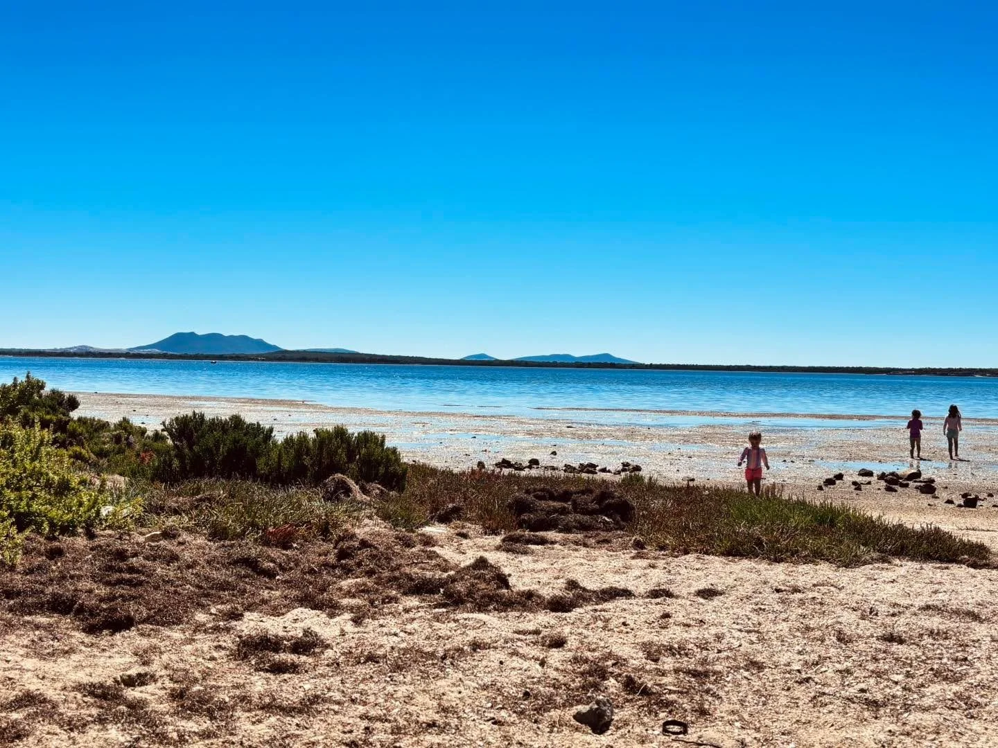 Back from the beach and open for the arvo 🤟

Next to IGA 🛒