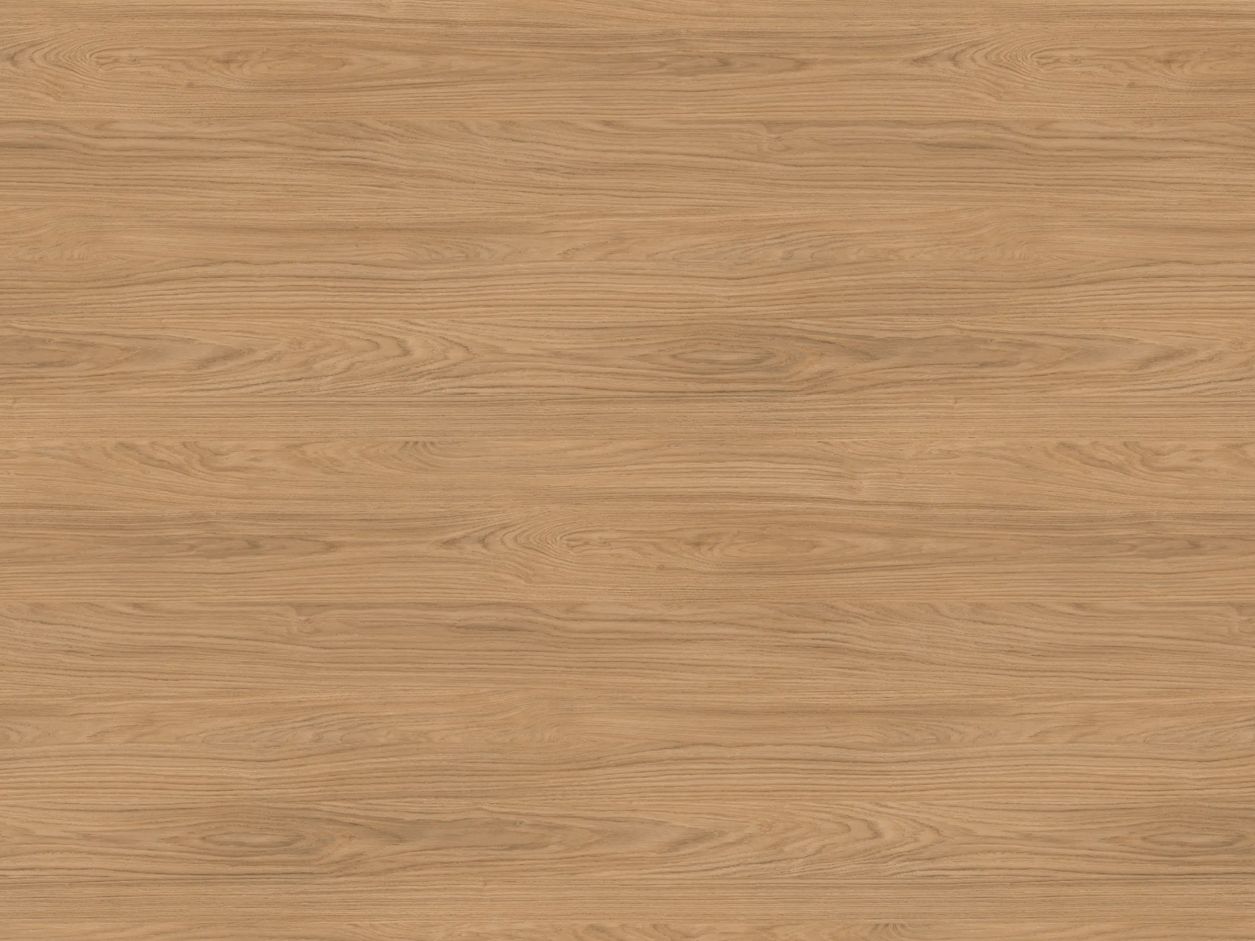 Add a little bit of body text-4.png