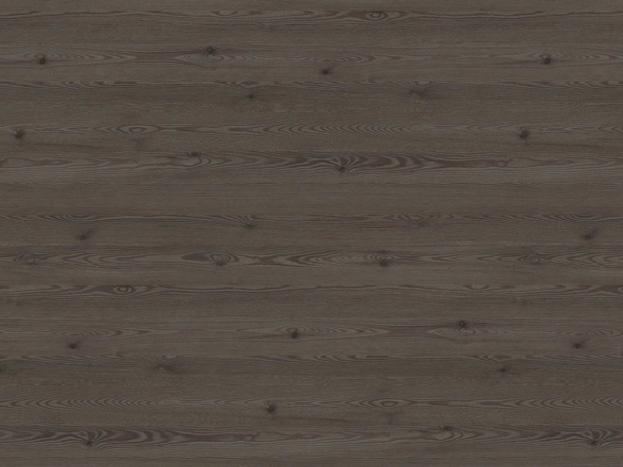 Add a little bit of body text-10.png