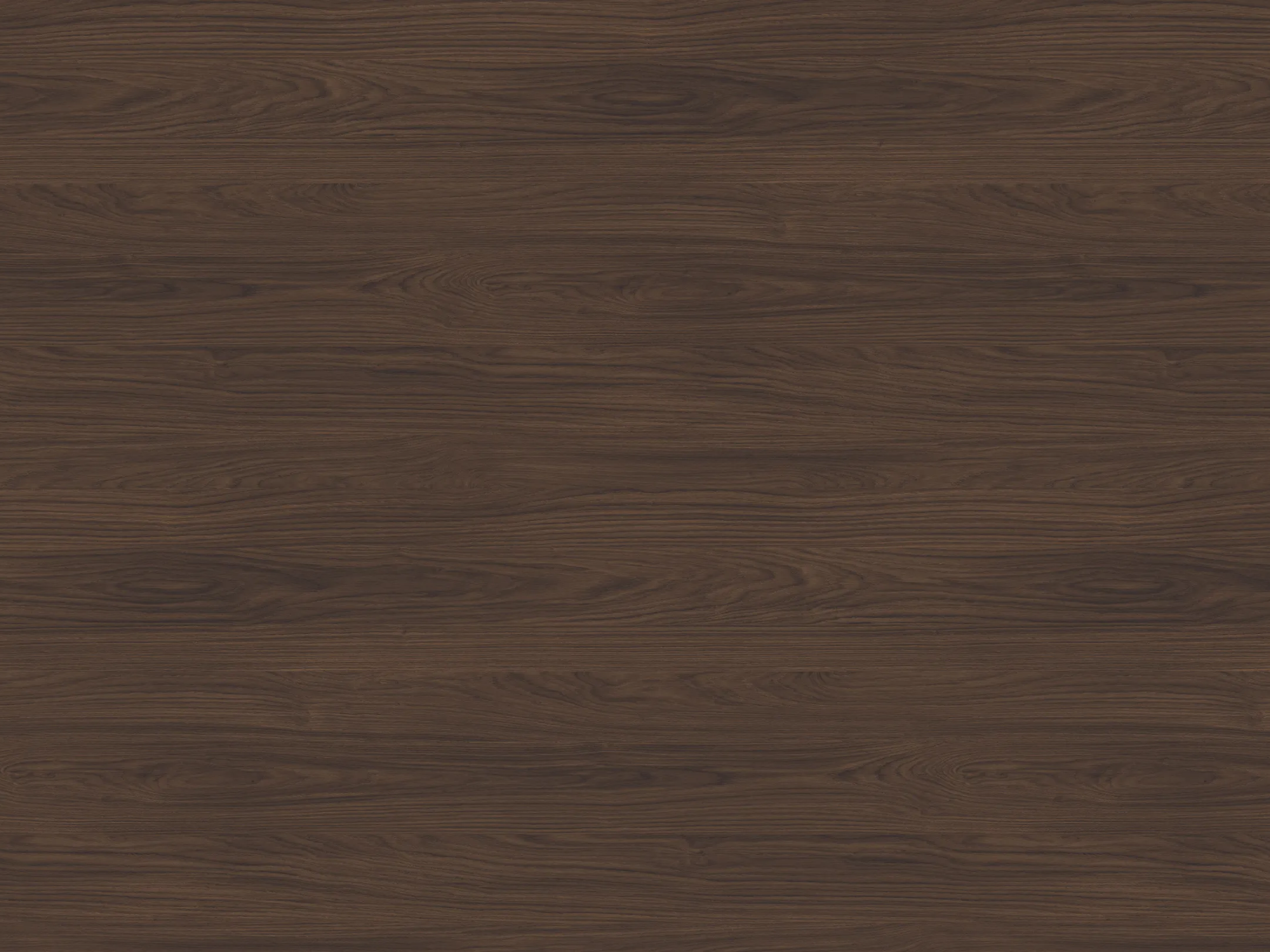 Add a little bit of body text-6.png