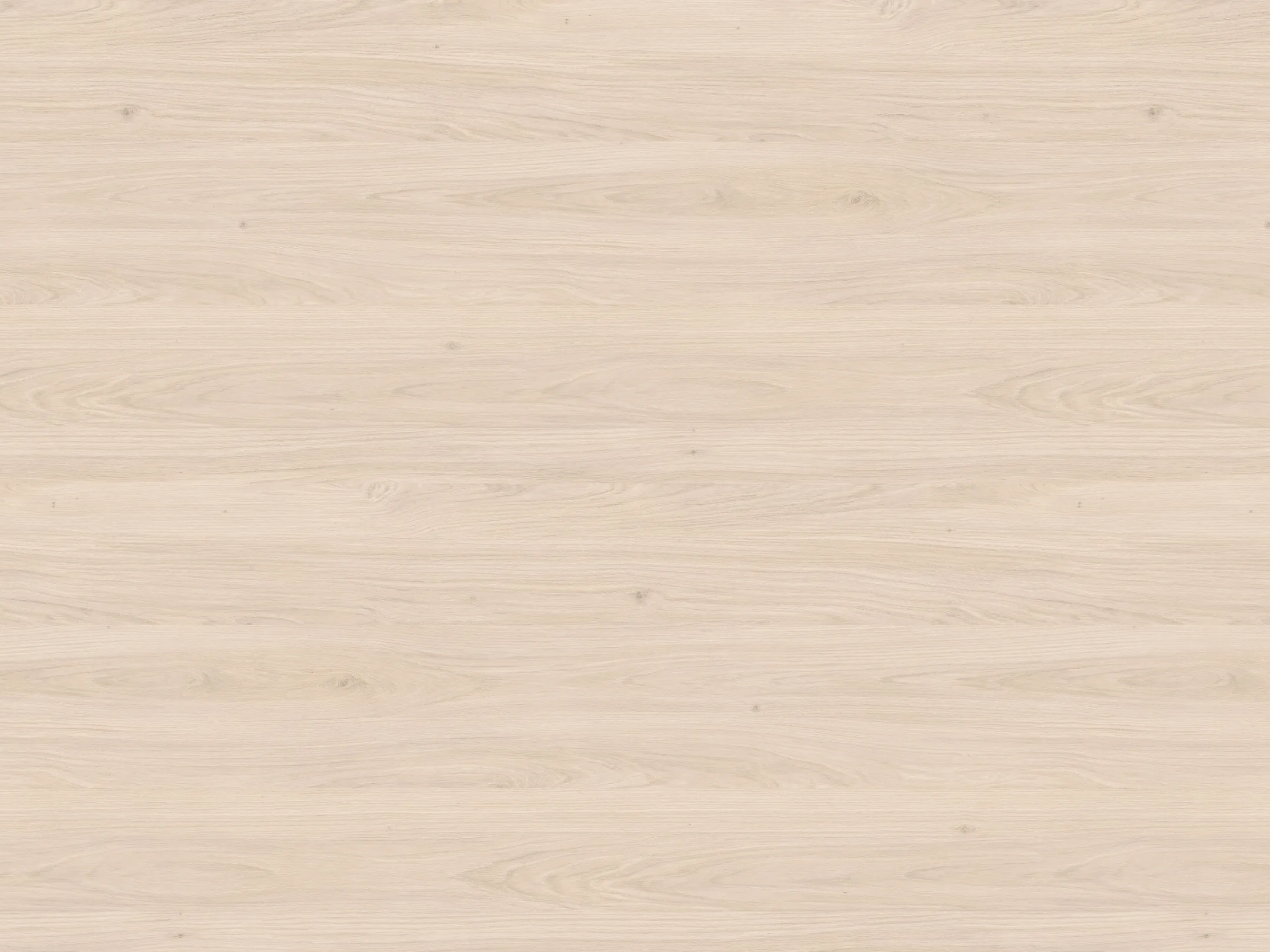 Add a little bit of body text-2.png