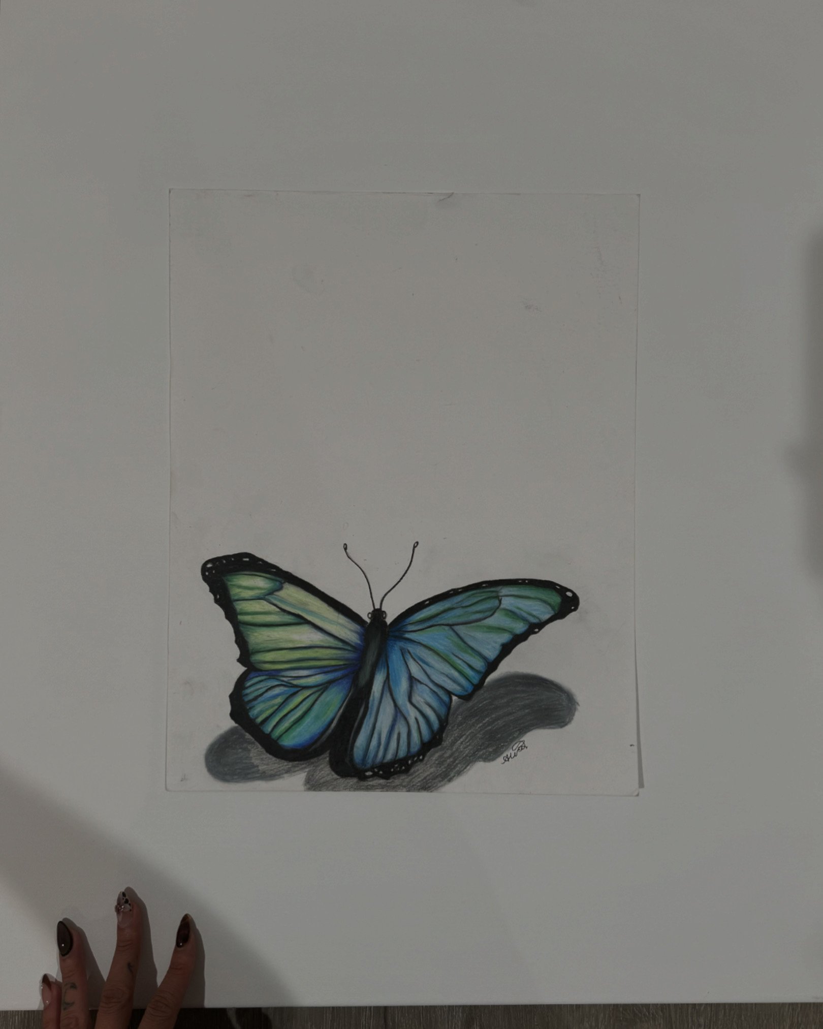 Prisma Colored Pencil - Butterfly