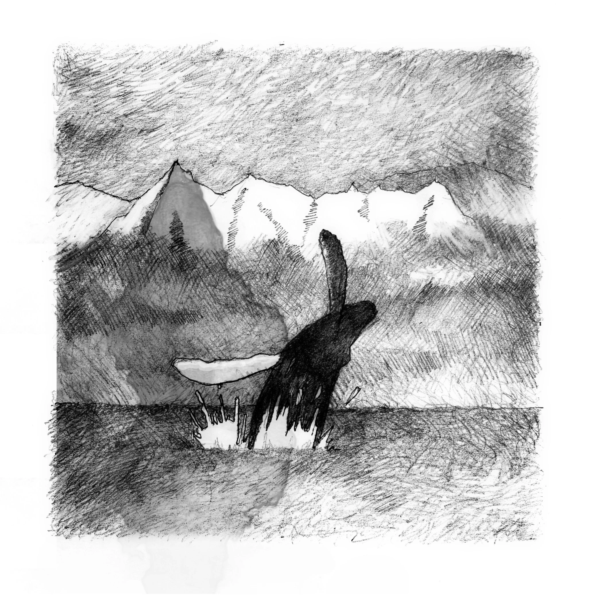 A sketch of a whale breaching the water with mountains and a cloudy sky in the background.
