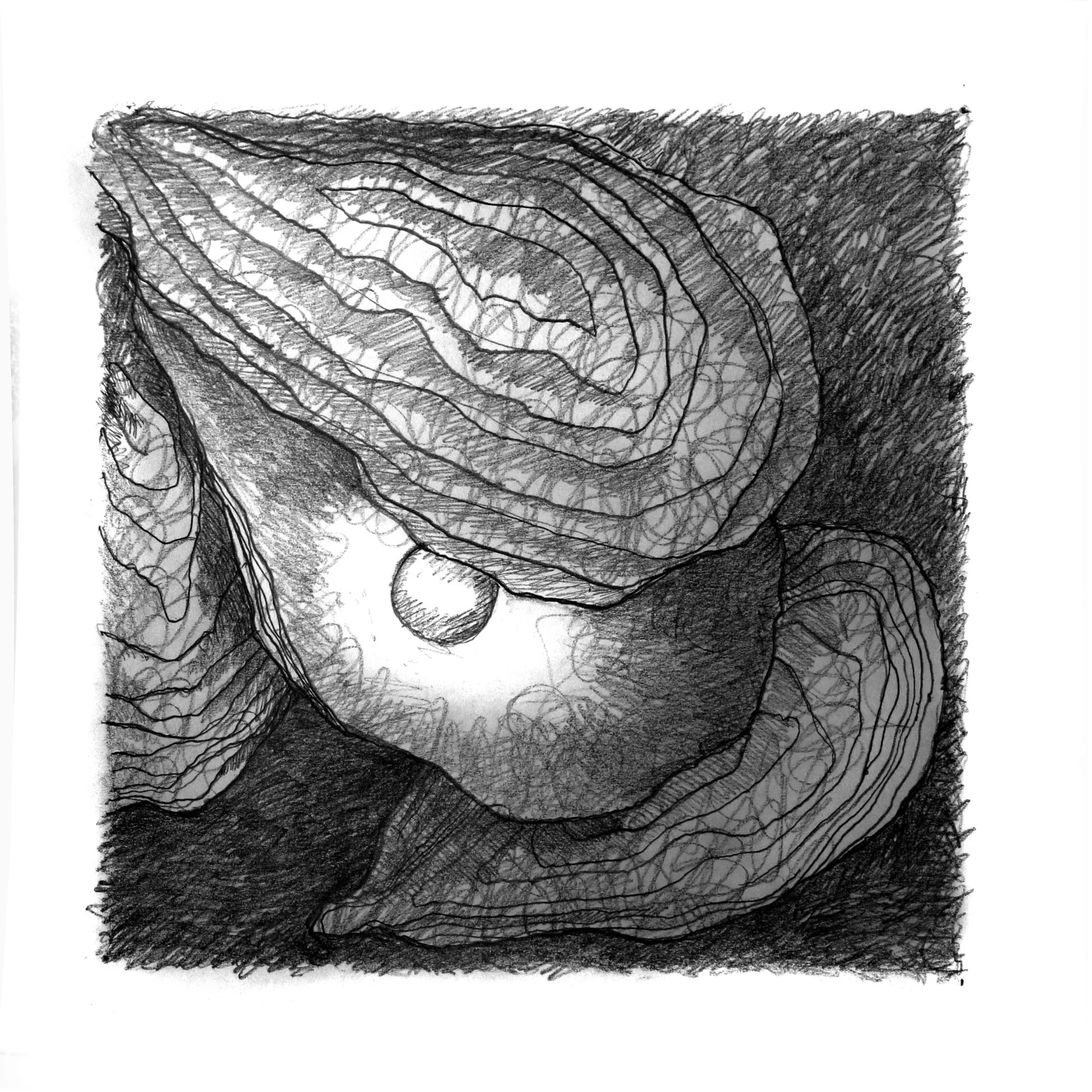 Black and white sketch of a sliced onion with layers visible, surrounded by onion pieces. Textured background.
