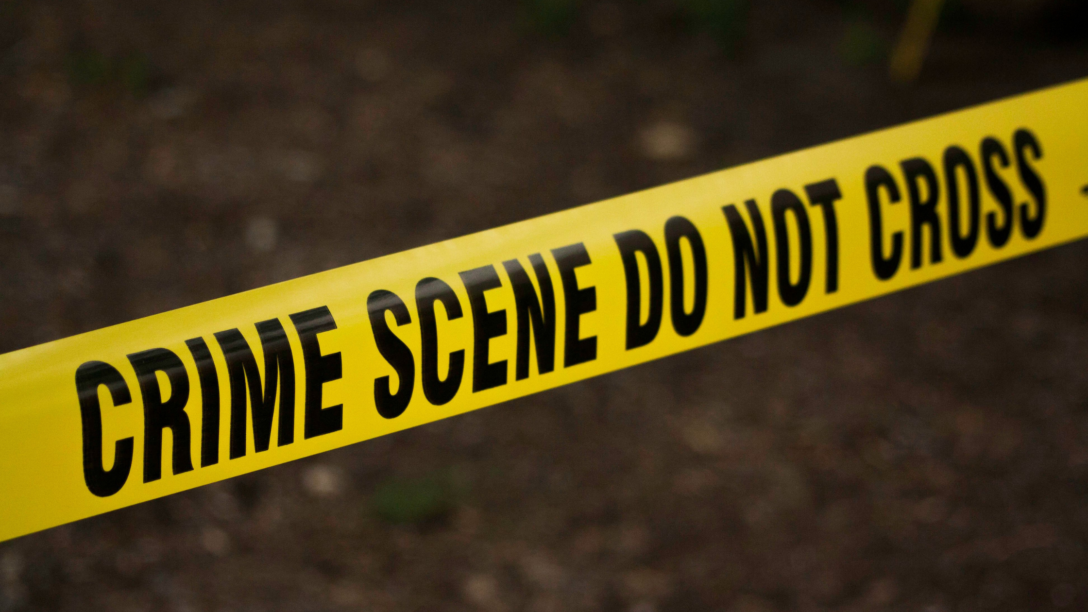 Domestic Homicide Sentencing Reform and its Relevance for Family Practitioners