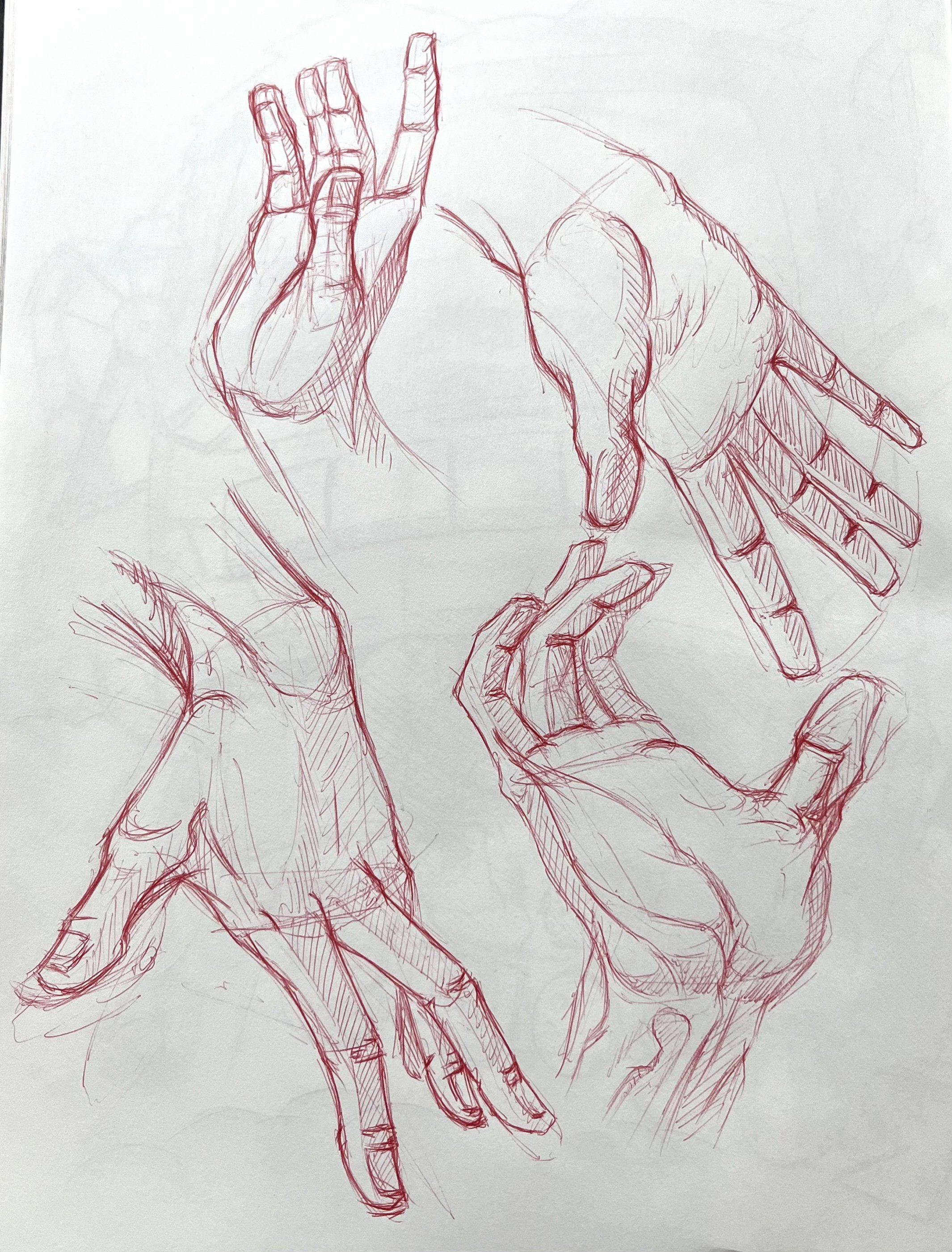 250210_handstudy.jpg