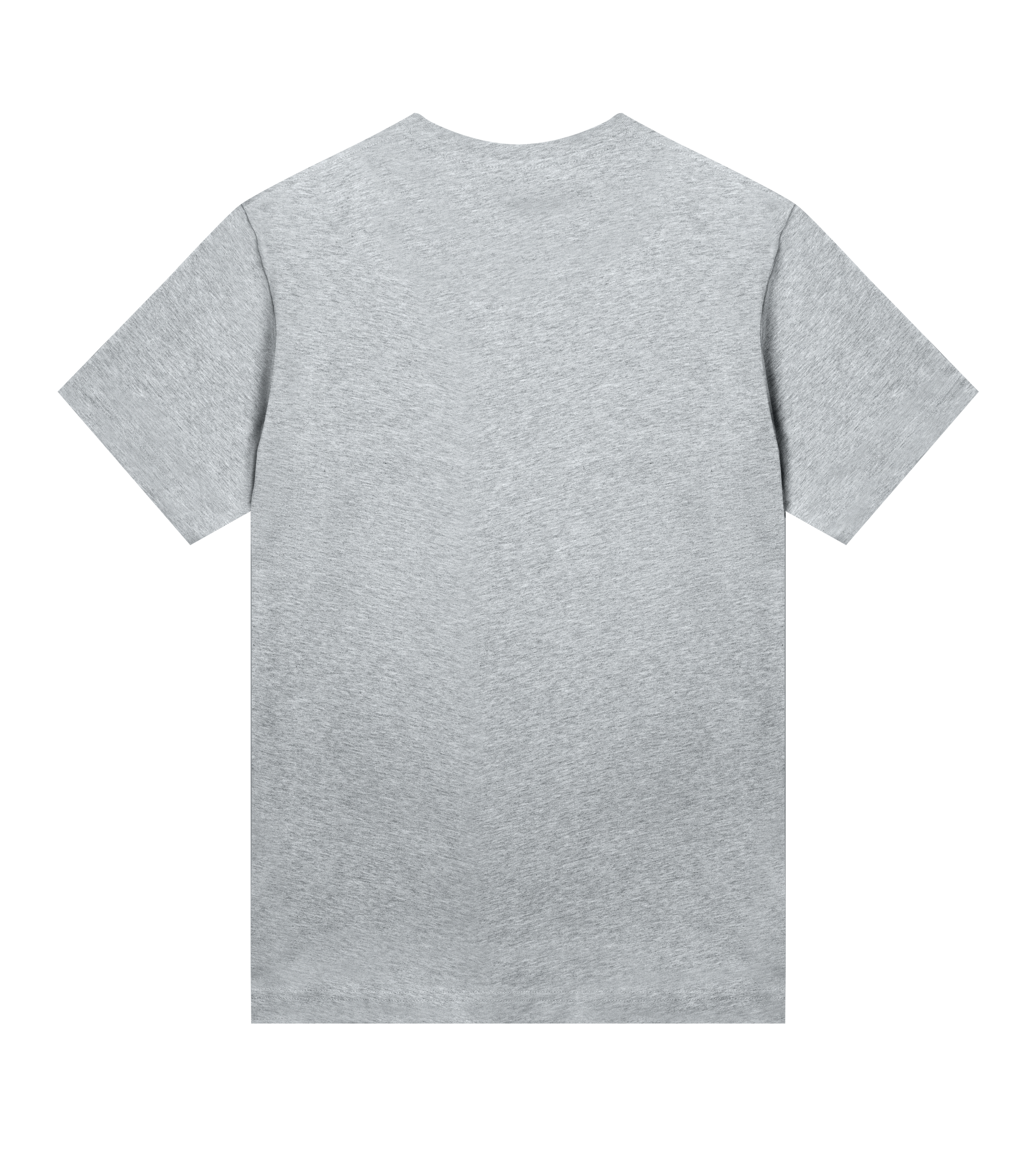 tshirt-grey-back.png