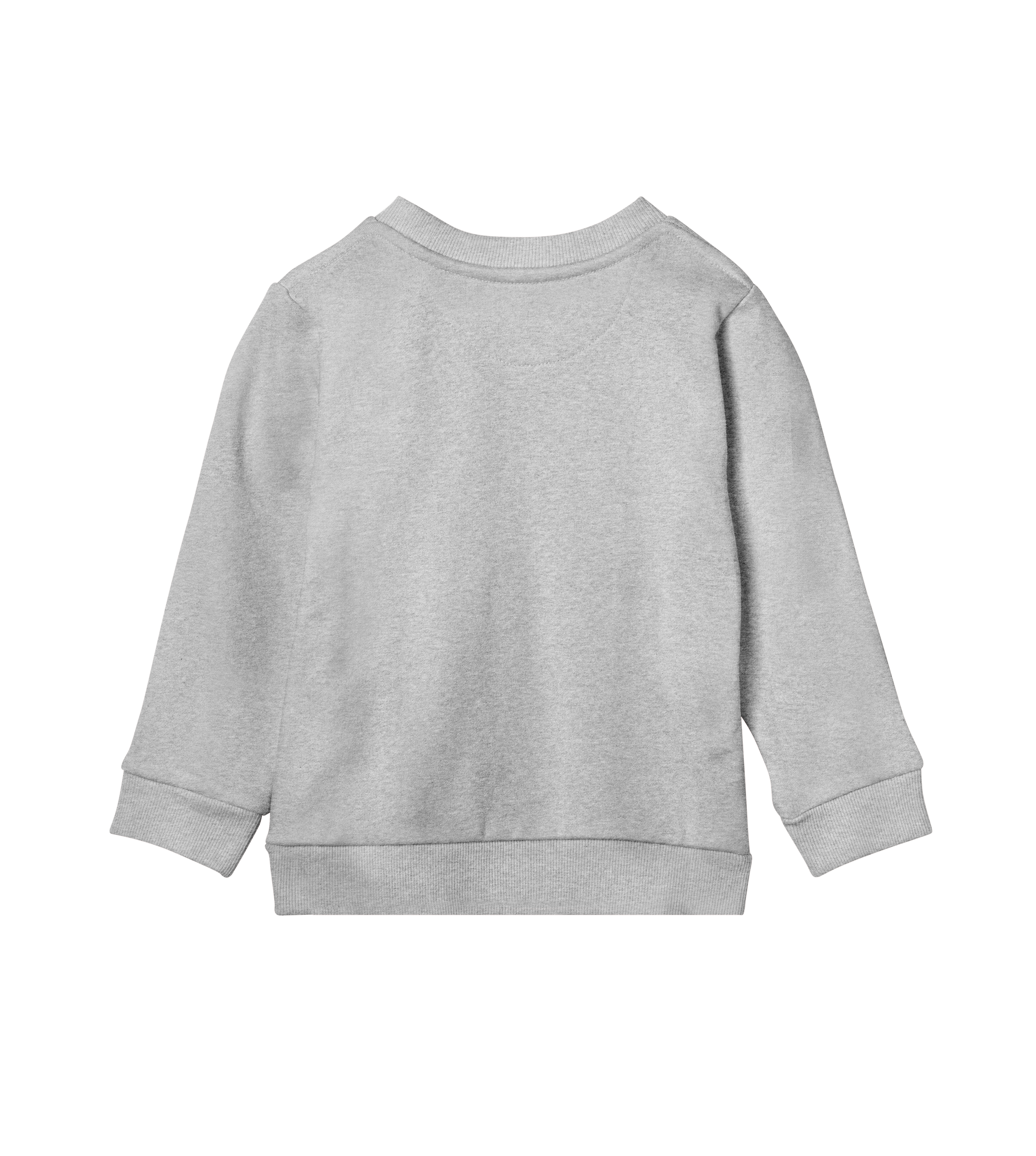sweatshirt-grey-back.png