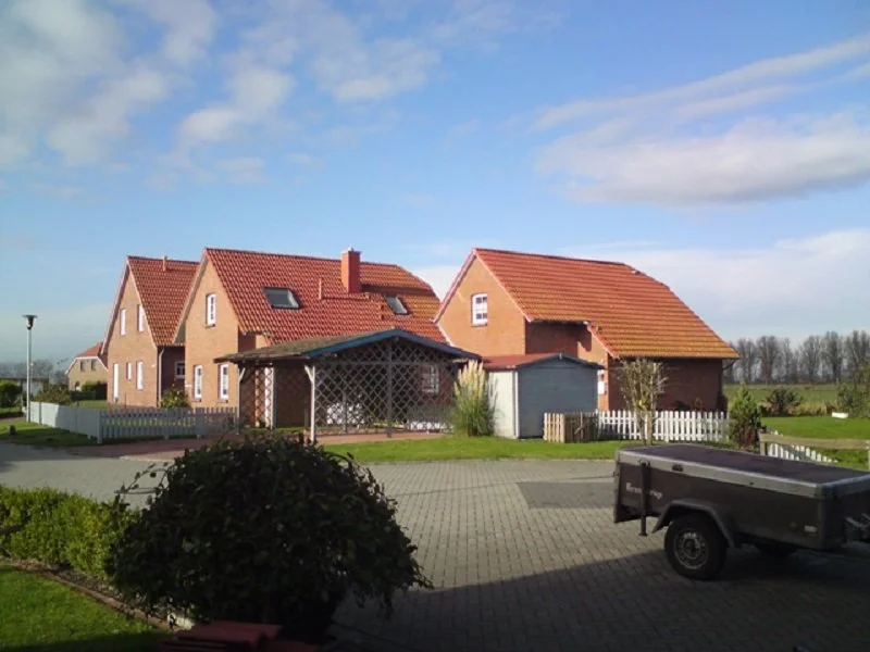 Ant Greetmer Deep.JPG