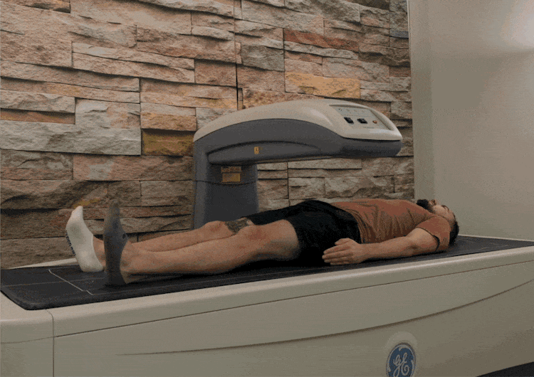 screenshots of our DexaFit app with DEXA scan, Metabolism and Fitness tests