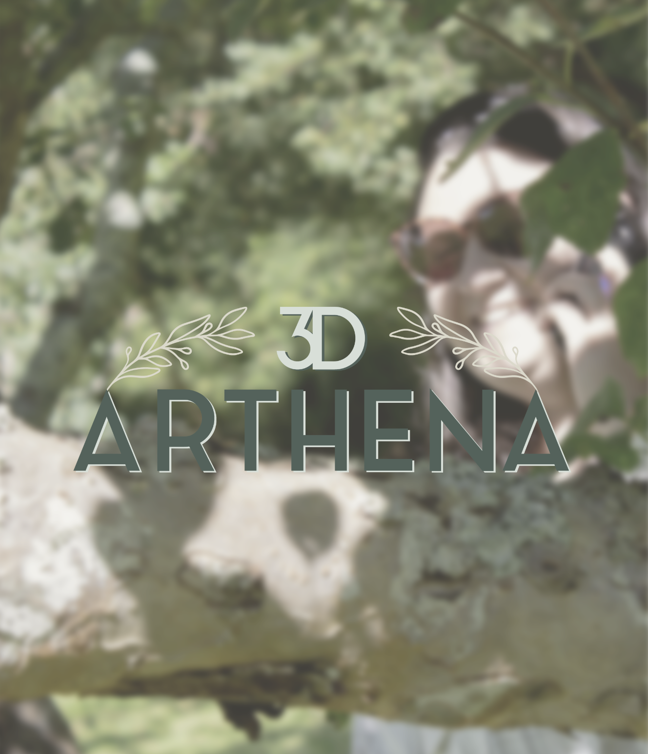 Arthena3D Logo.png