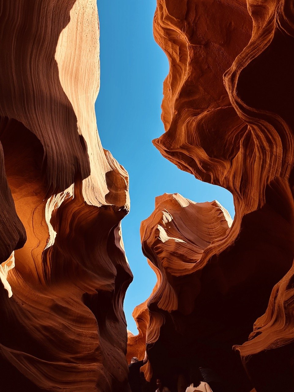 Groß (IMG_2590).jpeg