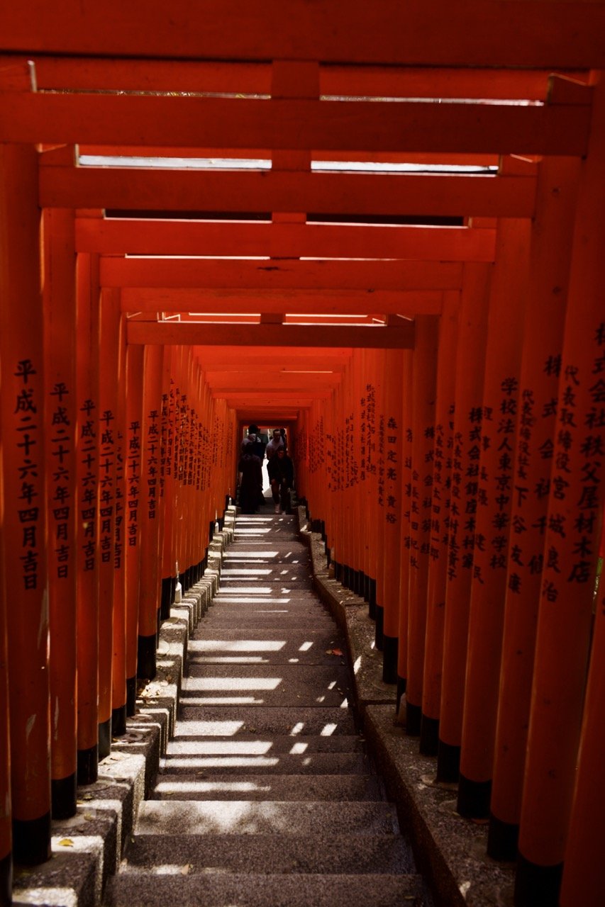 Groß (L1002376).jpeg