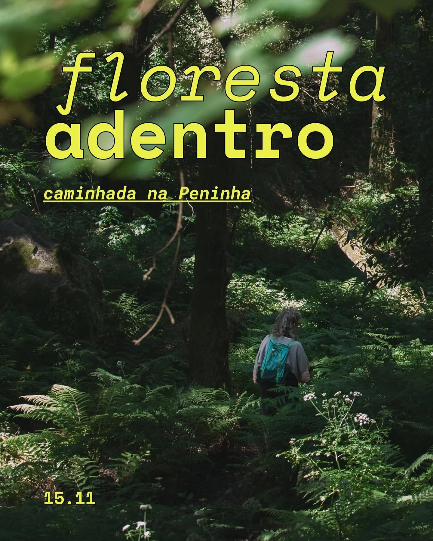 S&aacute;bado dia 15 de novembro vai acontecer um banho de floresta na Peninha, um dos lugares mais m&aacute;gicos da Serra de Sintra. Entre cedros centen&aacute;rios, musgos e neblina, somos convidados a abrandar, respirar e escutar a floresta, n&at