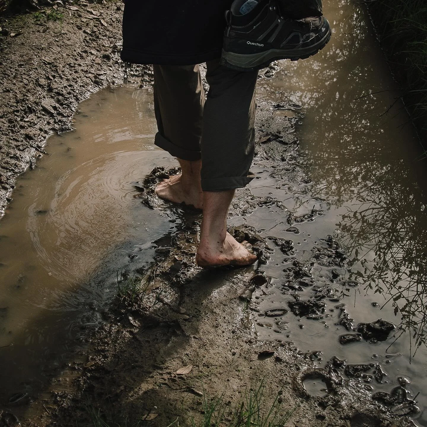 💫🌱 Que este novo ciclo nos aproxime da Terra e do mundo vivo, e nos ajude a reconhecer, com gratid&atilde;o, as muitas b&ecirc;n&ccedil;&atilde;os que nos s&atilde;o oferecidas todos os dias. Vamos caminhar um ano mais enraizado na nossa ess&ecirc;