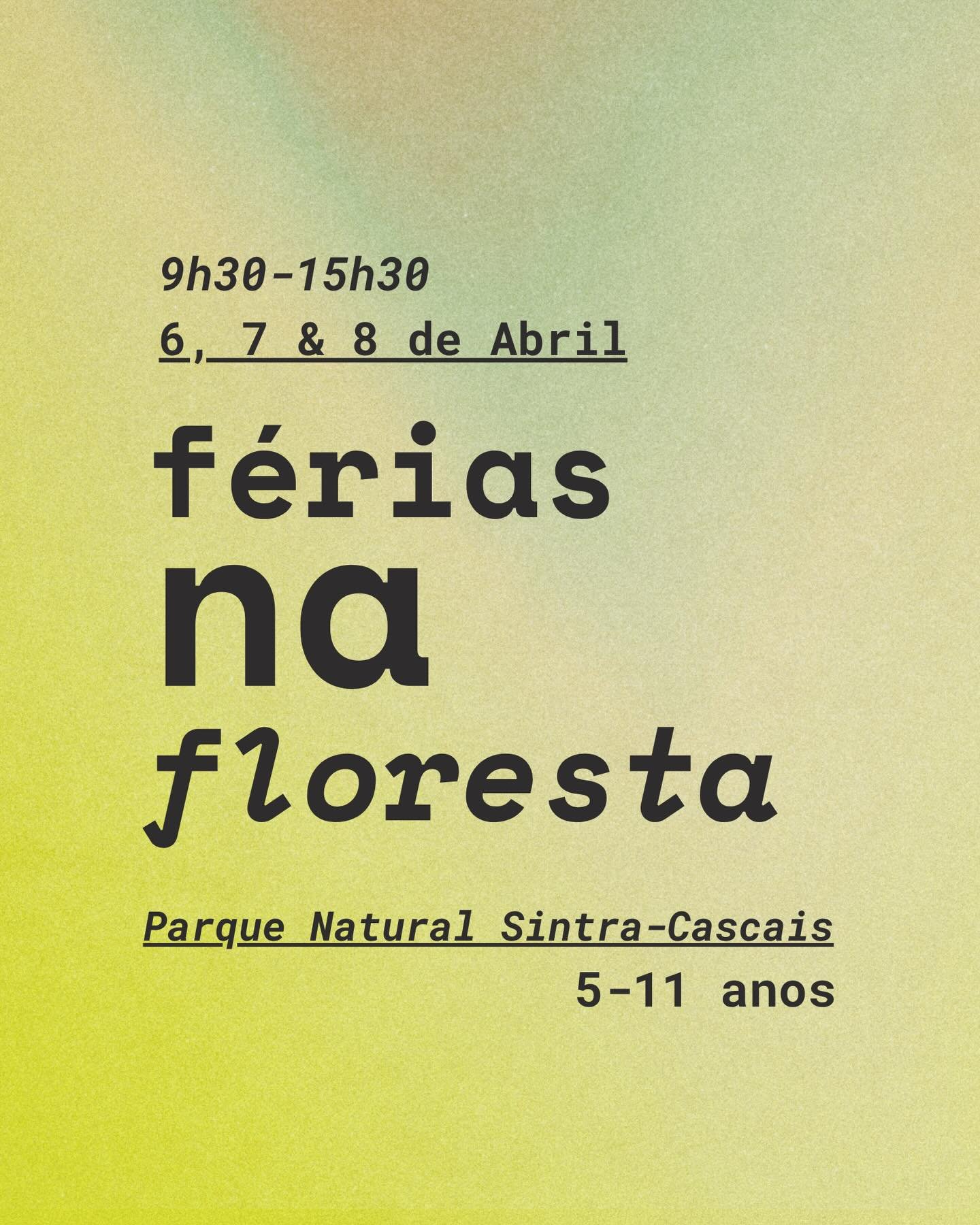 As F&eacute;rias na Floresta regressam para celebrar a Primavera! 🪺🕊️