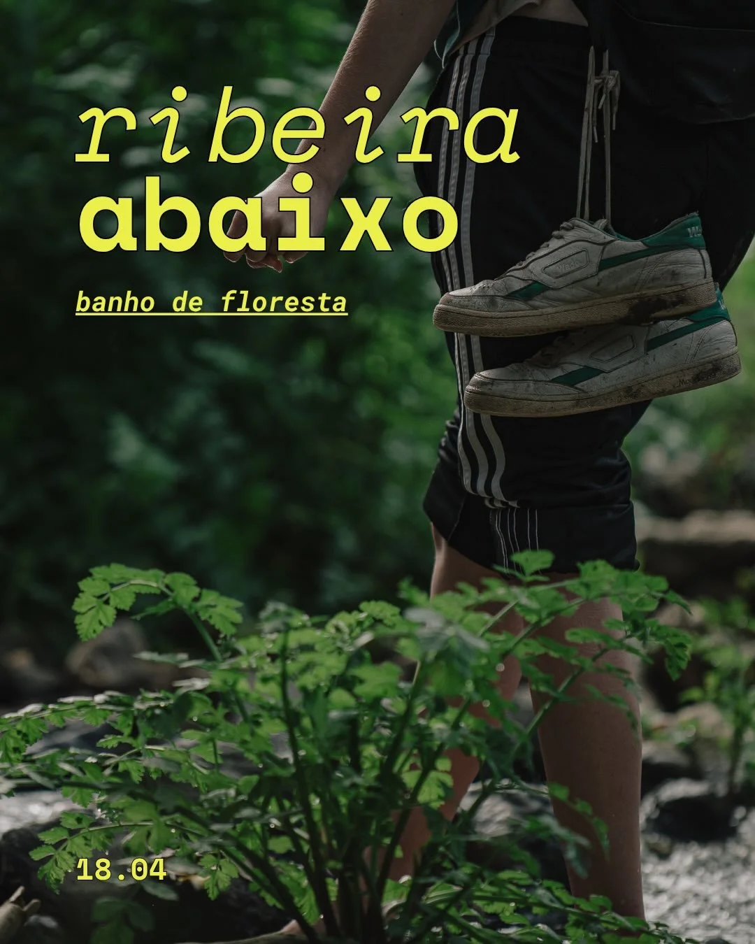 🌳 No dia 18 de Abril, das 10h30 &agrave;s 13h30, encontramo-nos na Ribeira de Cabrela para um passeio de Terapia da Natureza e da Floresta, conhecido no Jap&atilde;o como shinrin yoku &mdash; &ldquo;banho de floresta&rdquo;. Caminhamos devagar, desp