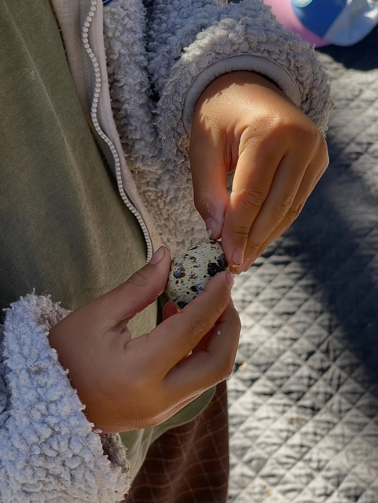 🥚 Todos os anos a natureza renasce. Depois de um inverno duro, uma profunda gratid&atilde;o envolve-nos. S&atilde;o estes ciclos que nos acolhem, mesmo quando trazem desafios.

Na nossa &uacute;ltima sess&atilde;o na floresta, contempl&aacute;mos a 