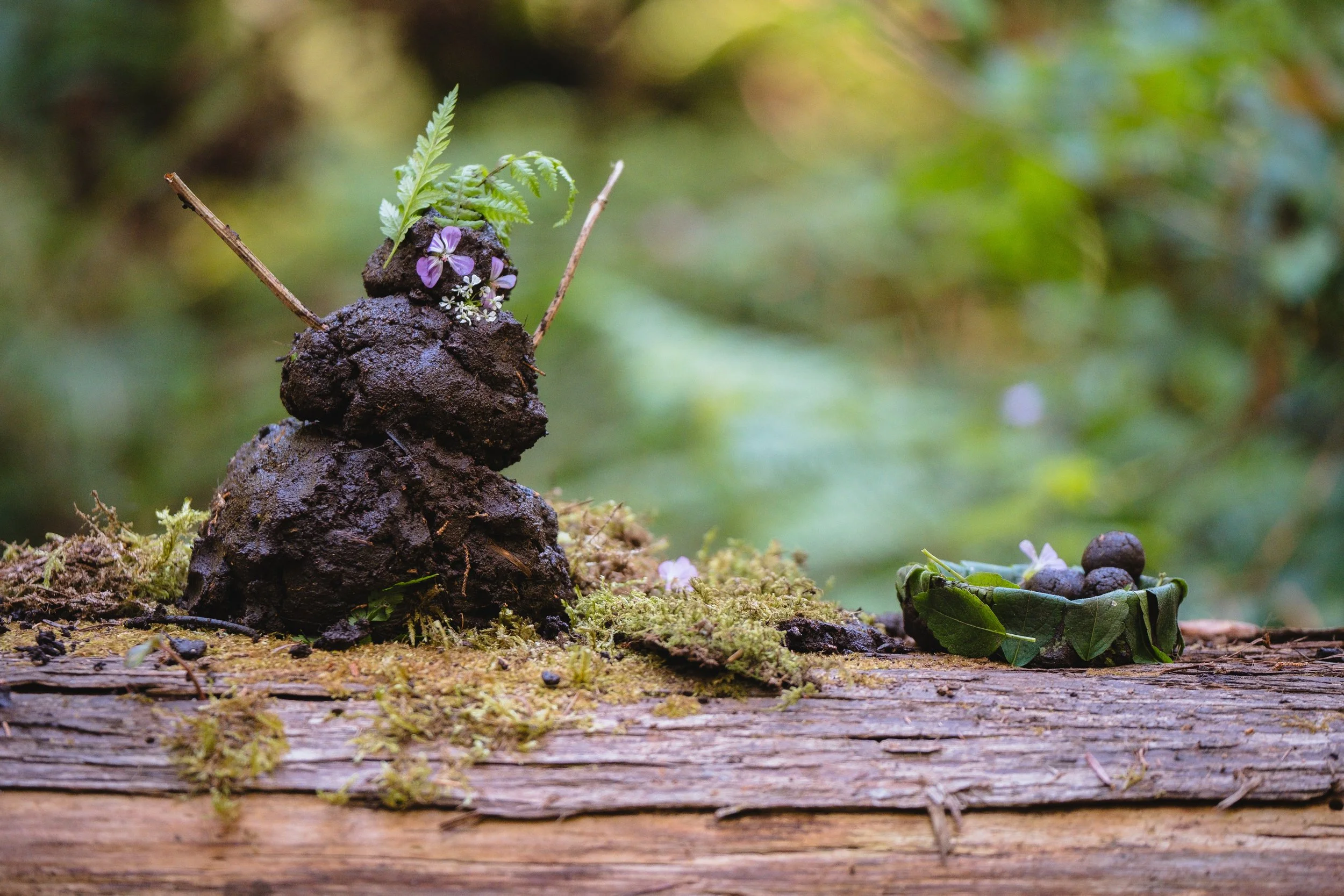 20240601_Terraforma_51_©JoãoQuirino - cópia.jpeg