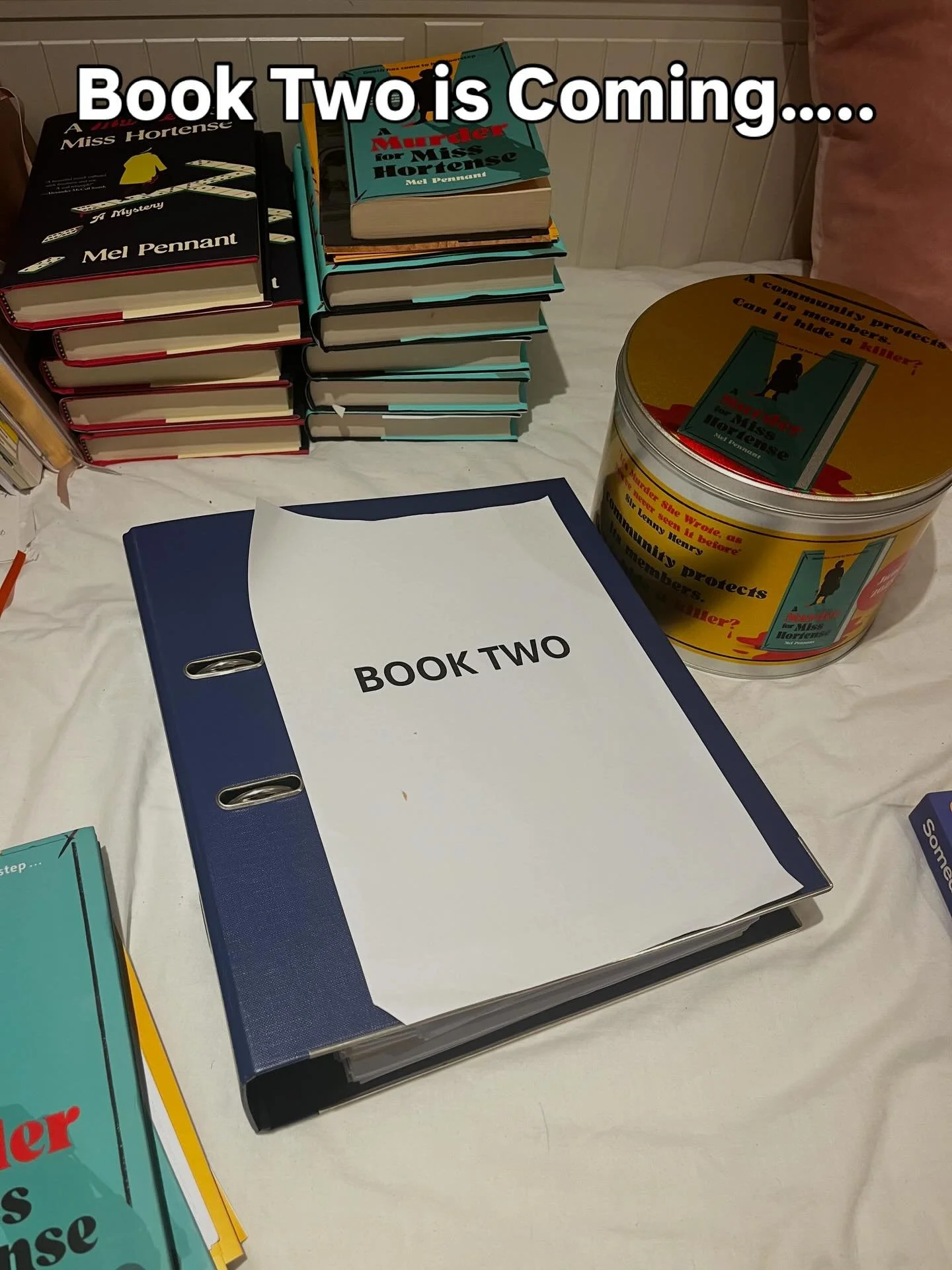 Most of October and November was spent ✍️ editing draft three of Book Two of @misshortensemysteries.  I can&rsquo;t wait for you to read it!!!!!!! 💃🏾 💃🏾 💃🏾 #amurderformisshortense #debutwriter #booktwo #folllowyourdreams