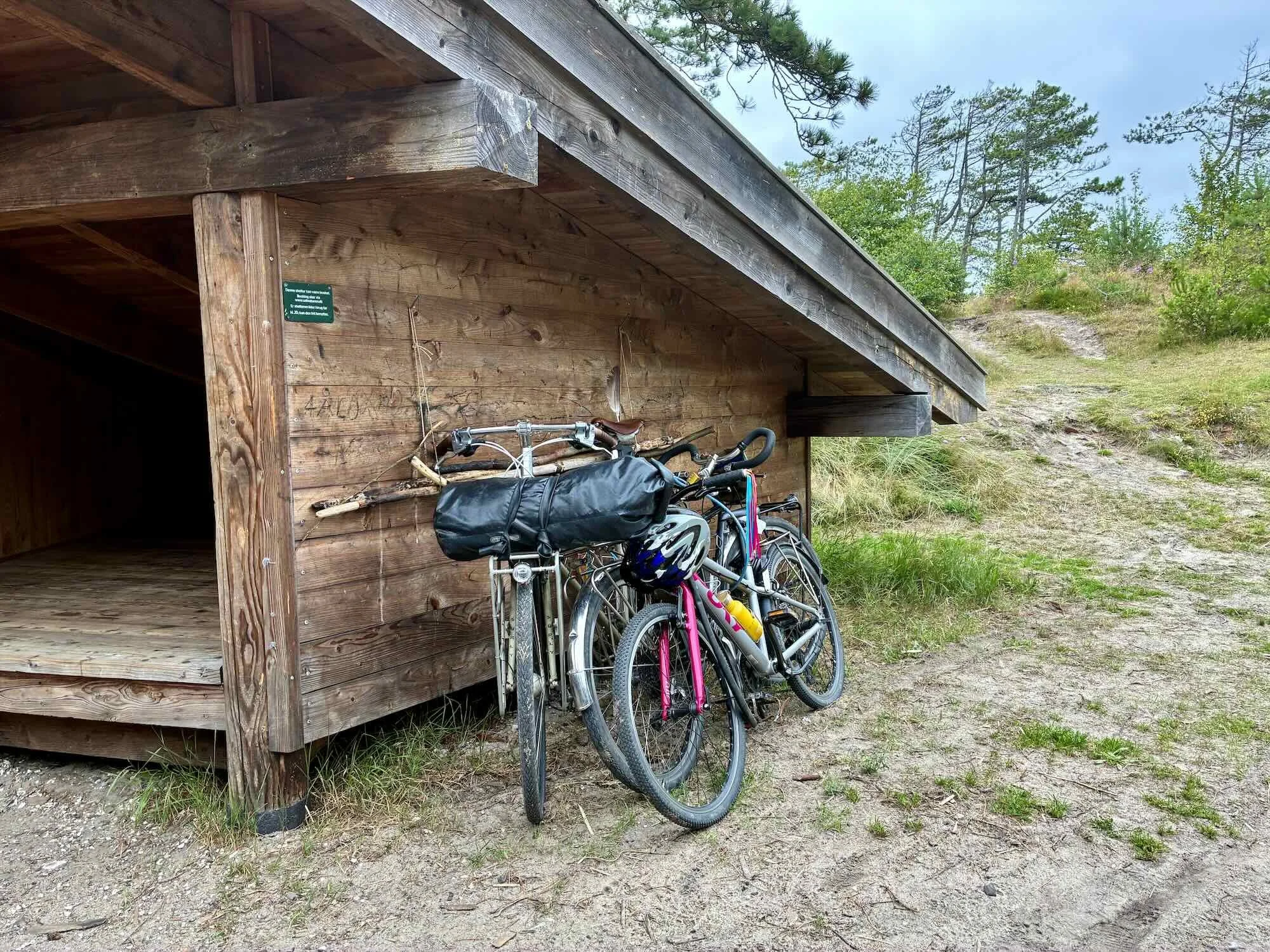 lodbjerg-fyr-shelterplads-naturstyrelsen - 5.jpeg