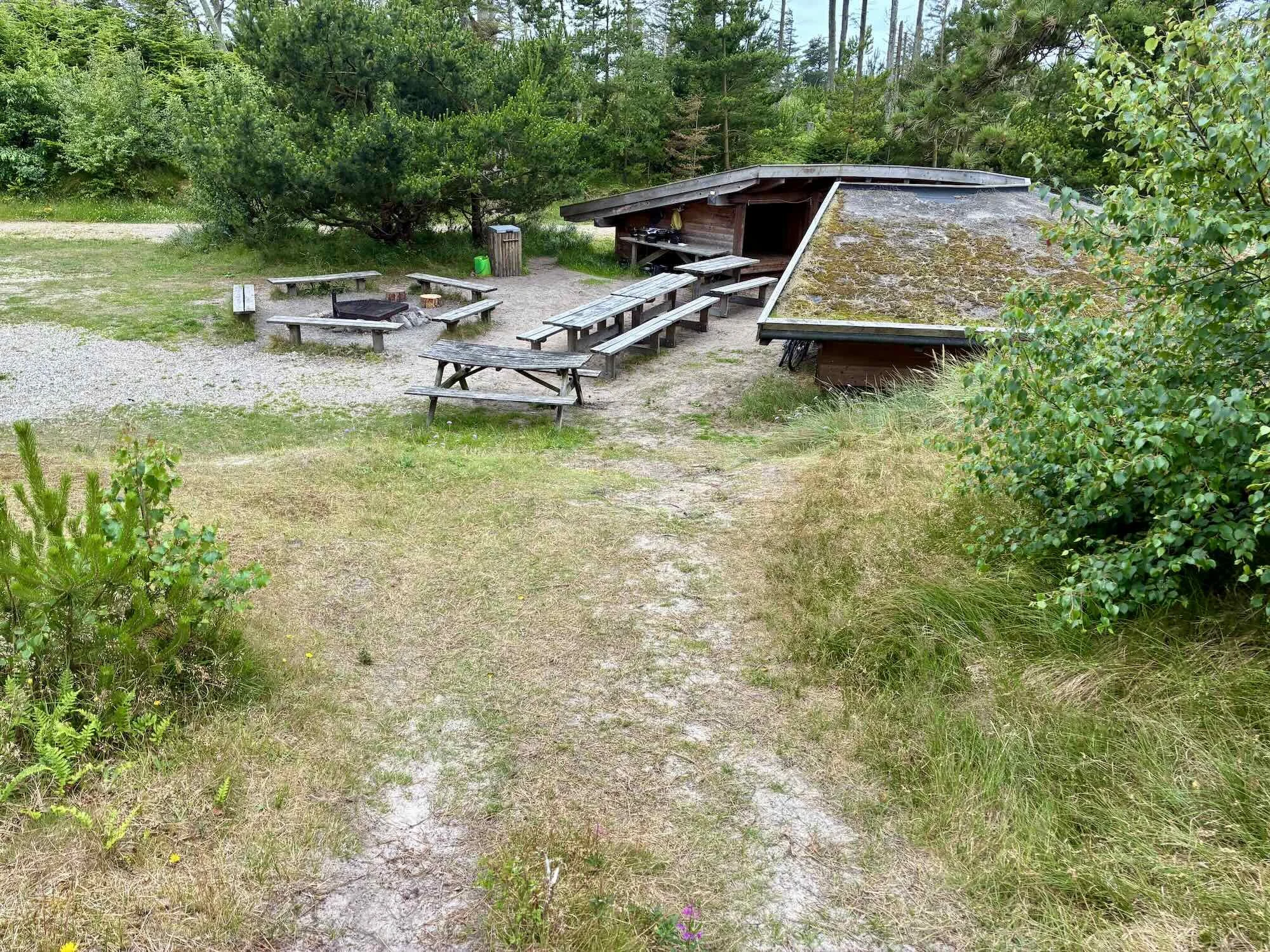 lodbjerg-fyr-shelterplads-naturstyrelsen - 2.jpeg